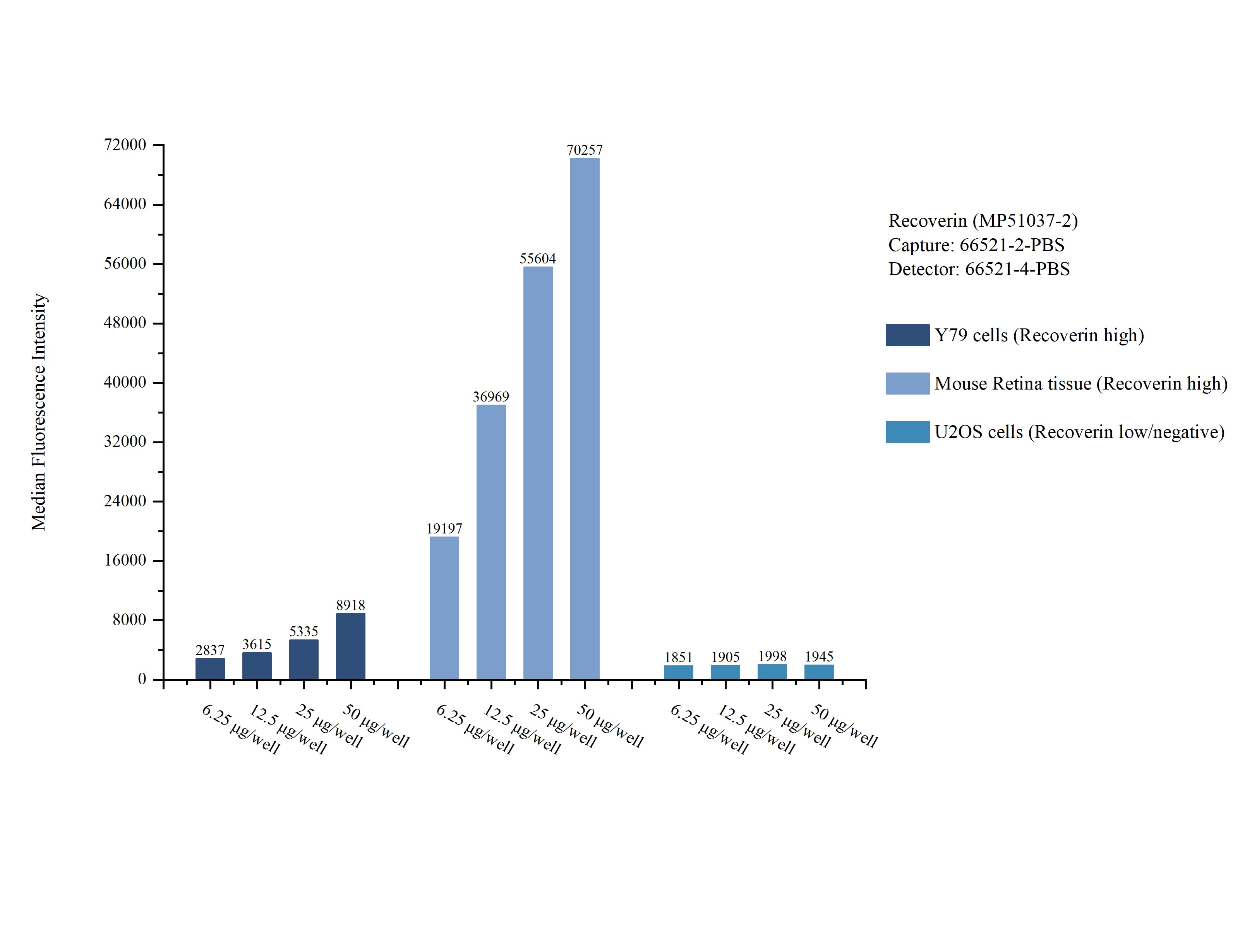 Cytometric bead array sample test of MP51037-2