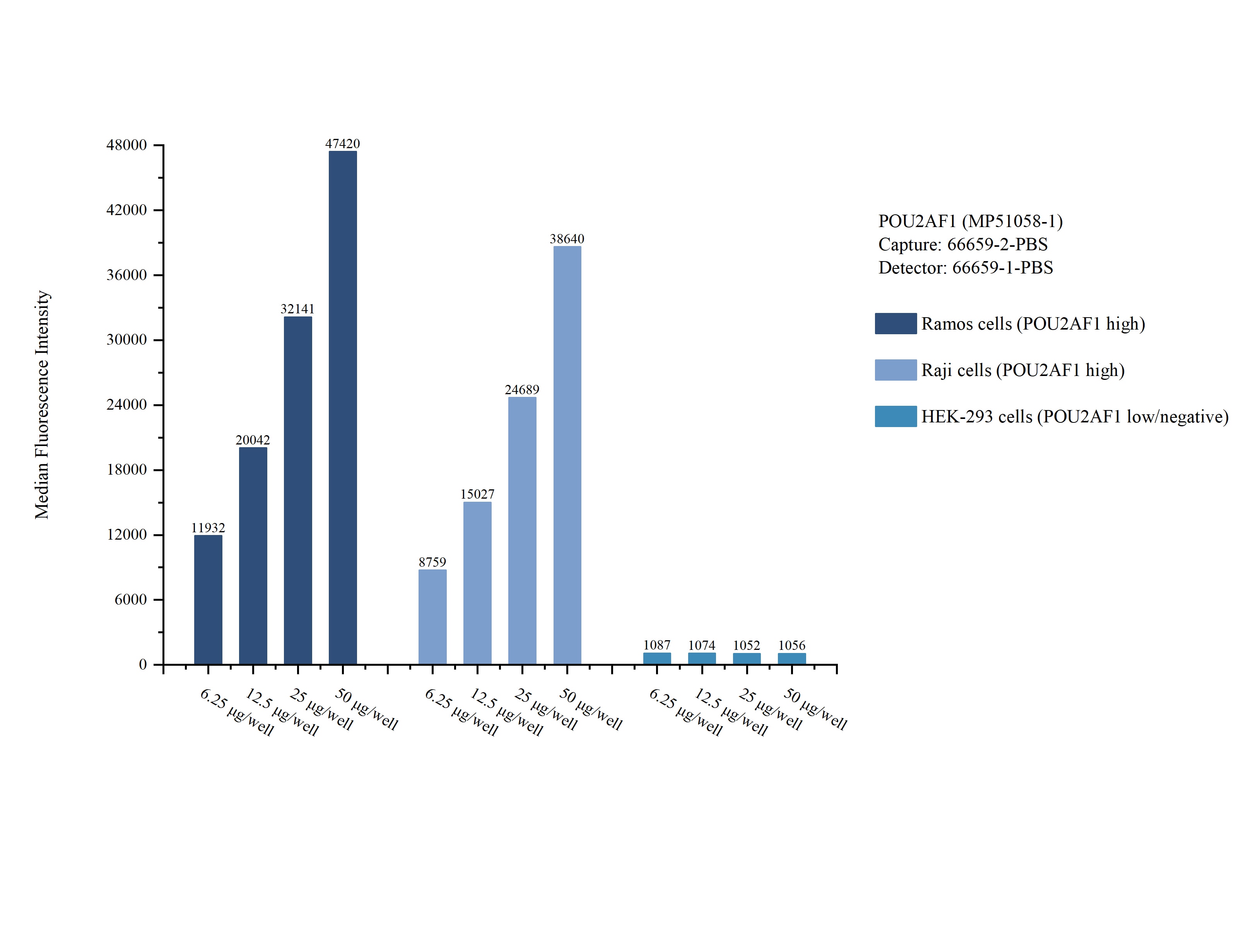 Cytometric bead array sample test of MP51058-1