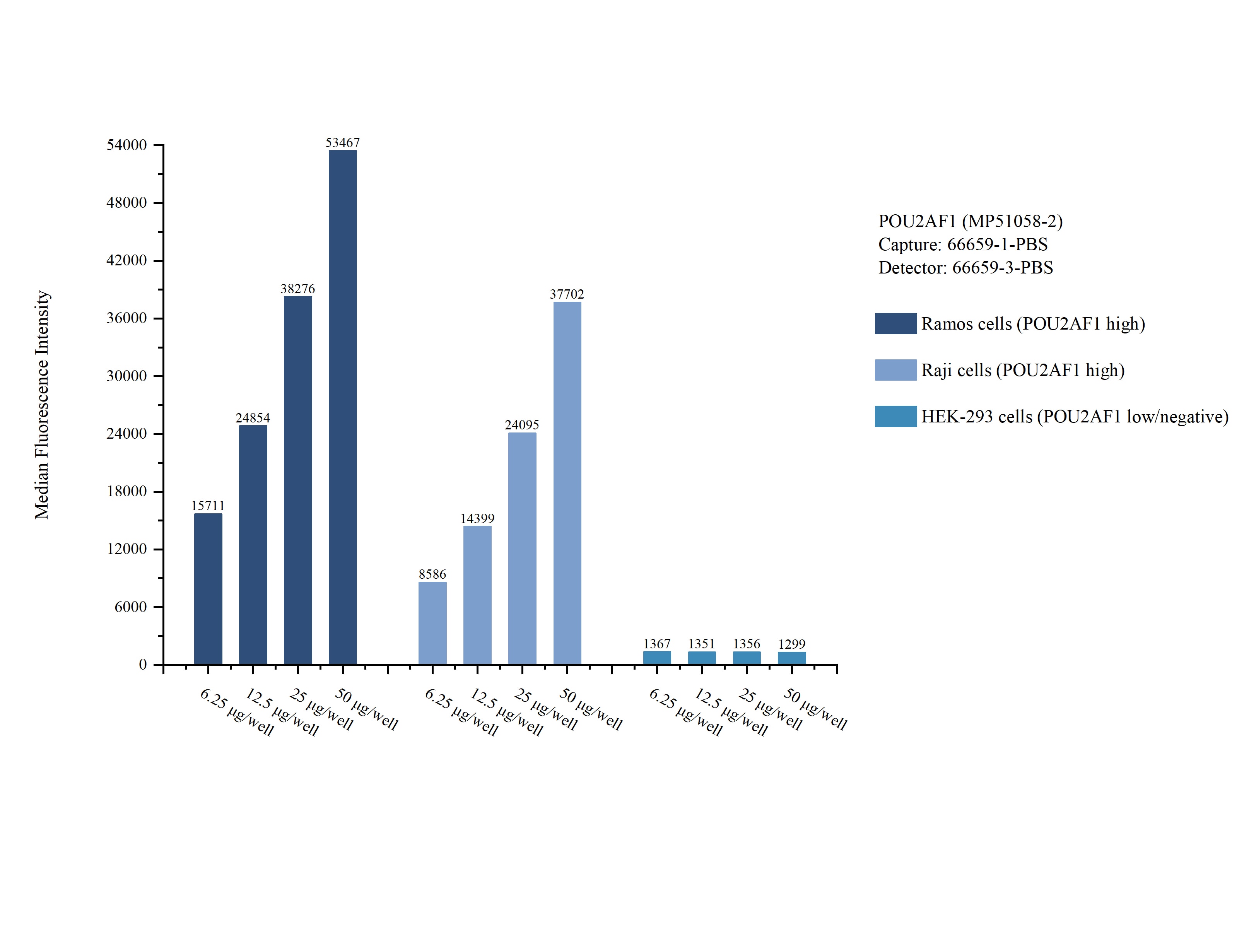 Cytometric bead array sample test of MP51058-2