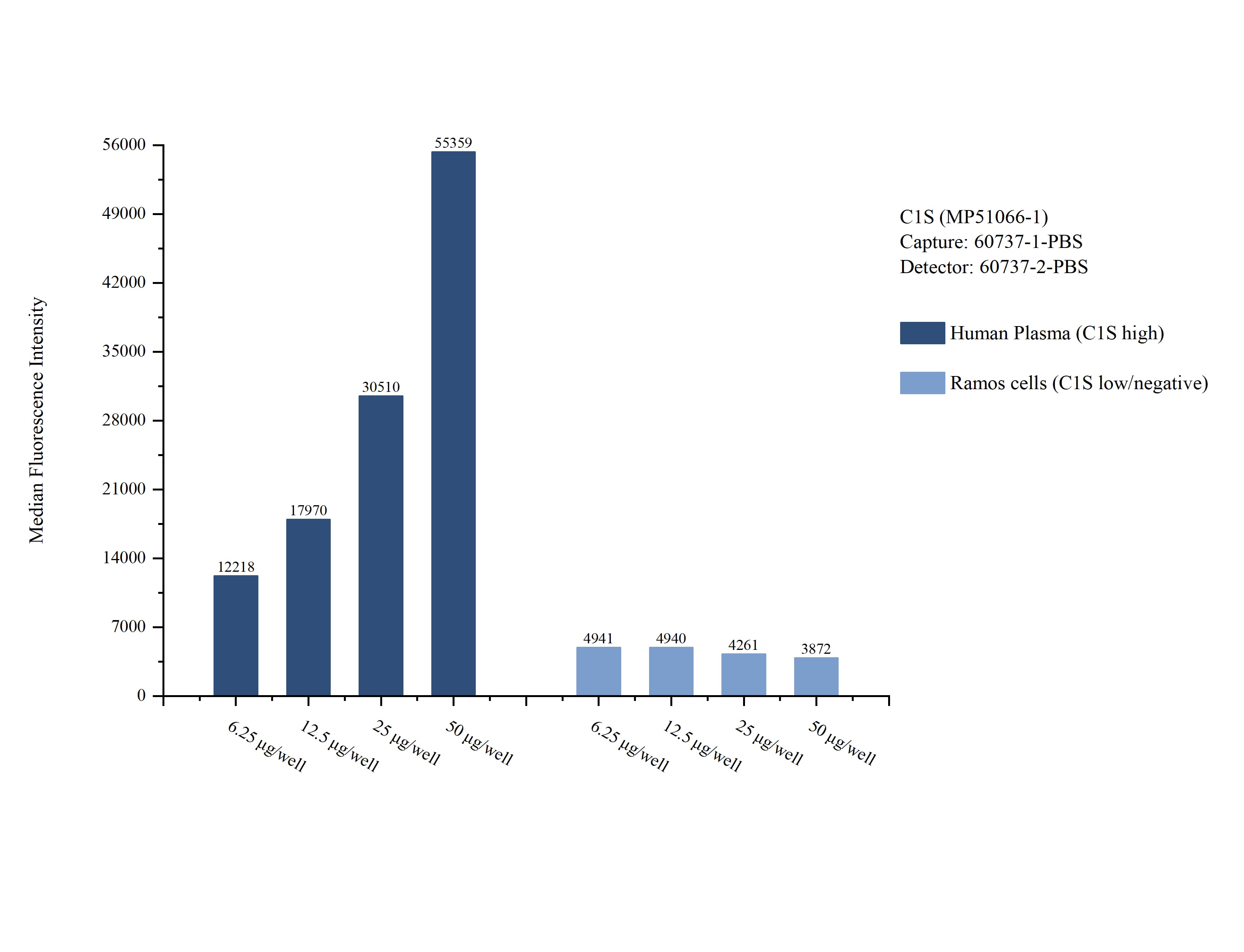 Cytometric bead array sample test of MP51066-1