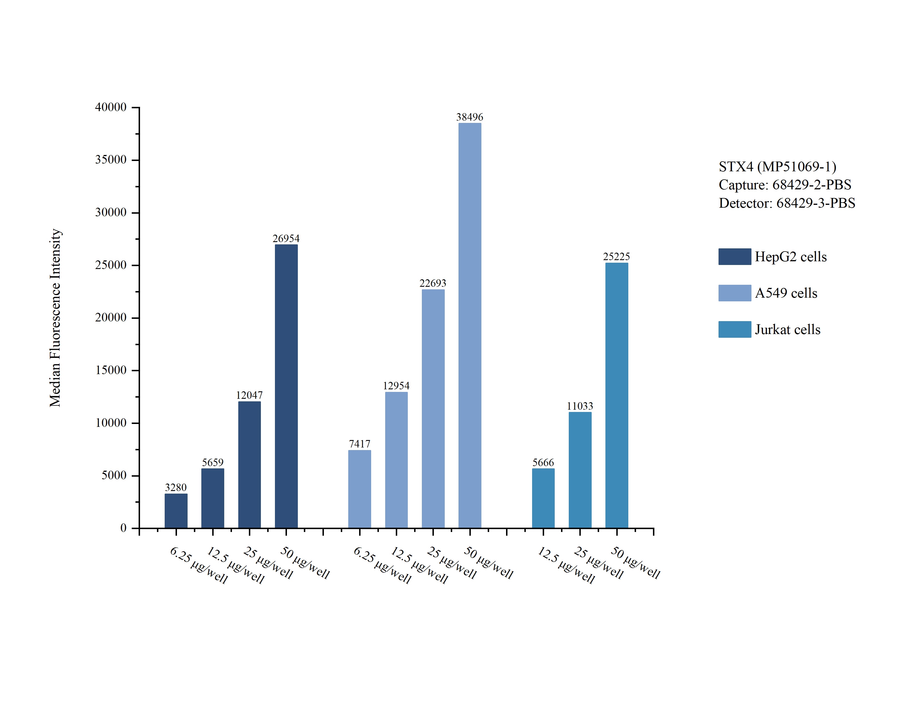 Cytometric bead array sample test of MP51069-1, STX4 Monoclonal Matched Antibody Pair, PBS Only. Capture antibody: 68429-2-PBS. Detection antibody: 68429-3-PBS. Cytometric bead array sample test of MP51069-1