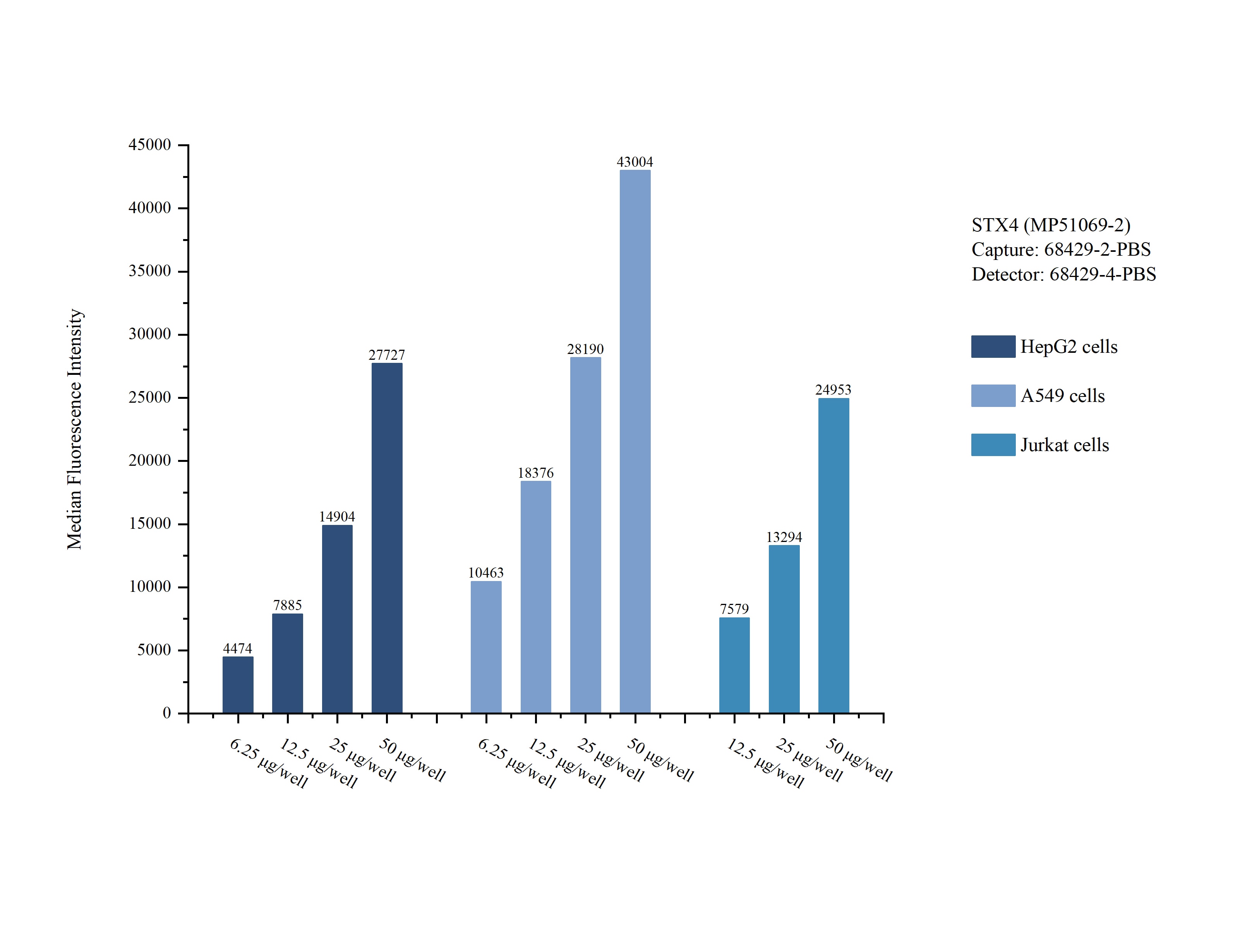 Cytometric bead array sample test of MP51069-2, STX4 Monoclonal Matched Antibody Pair, PBS Only. Capture antibody: 68429-2-PBS. Detection antibody: 68429-4-PBS. Cytometric bead array sample test of MP51069-2
