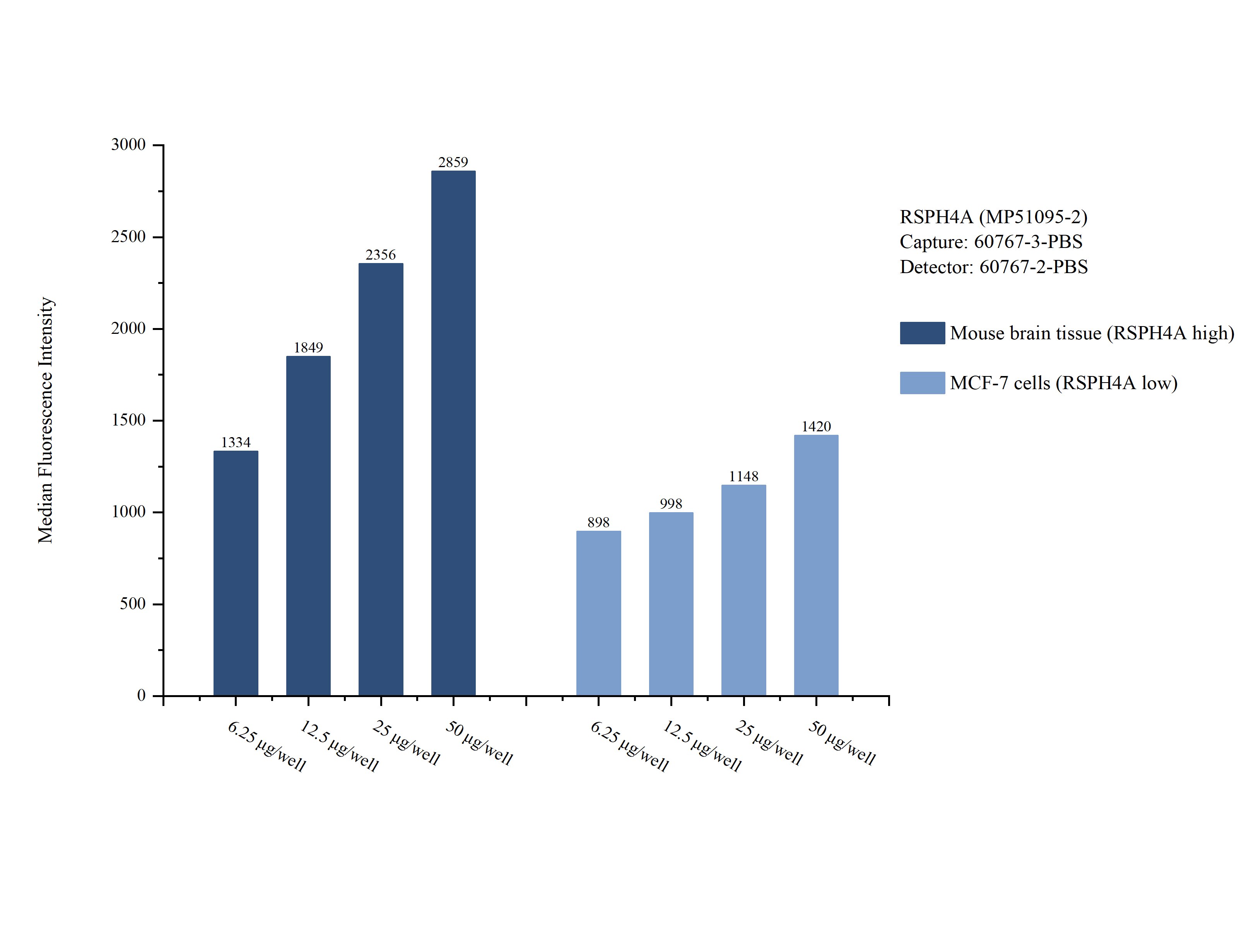 Cytometric bead array sample test of MP51095-2, RSPH4A Monoclonal Matched Antibody Pair, PBS Only. Capture antibody: 60767-3-PBS. Detection antibody: 60767-2-PBS. 
