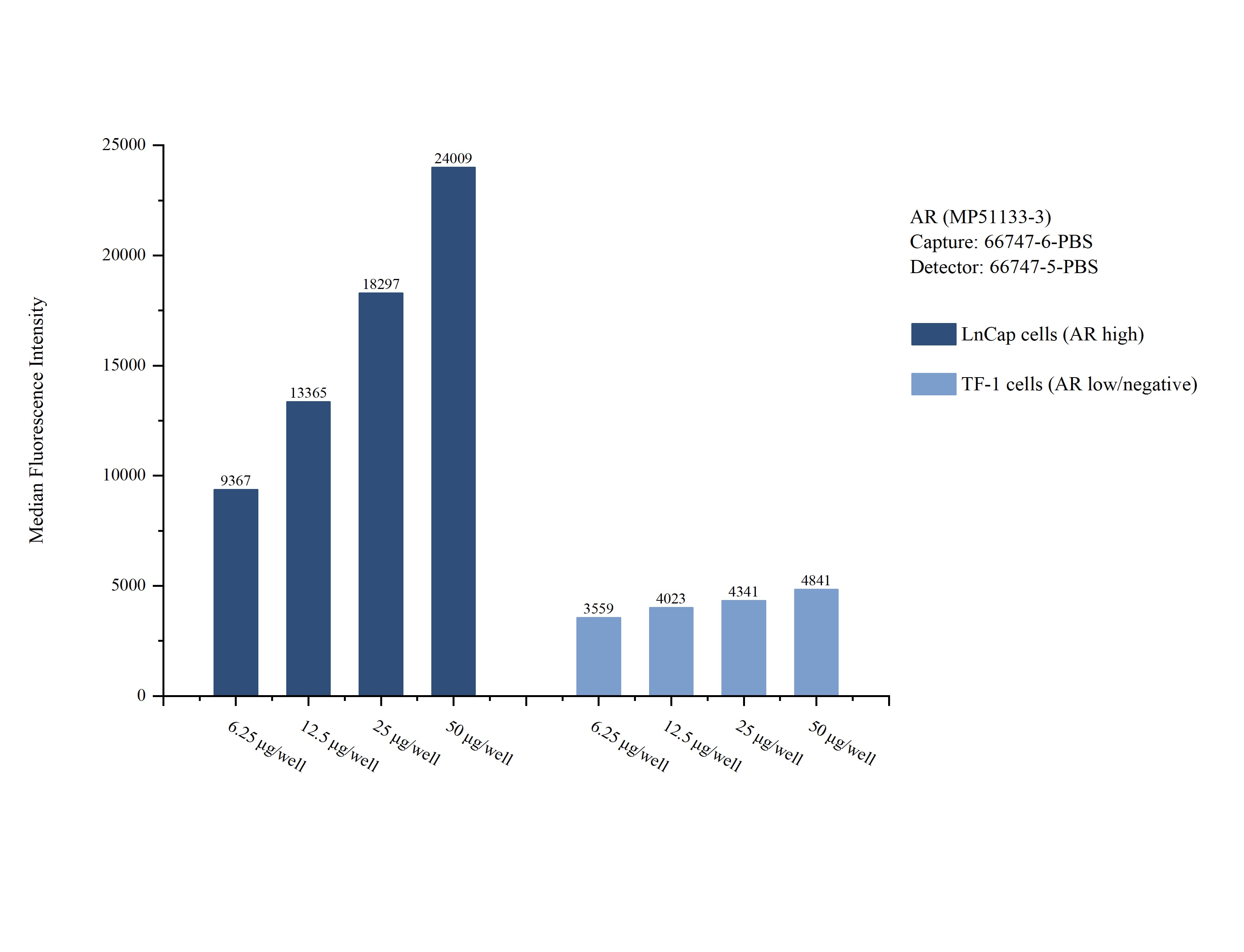 Cytometric bead array sample test of MP51133-3, Androgen receptor Monoclonal Matched Antibody Pair, PBS Only. Capture antibody: 66747-6-PBS. Detection antibody: 66747-5-PBS. Cytometric bead array sample test of MP51133-3