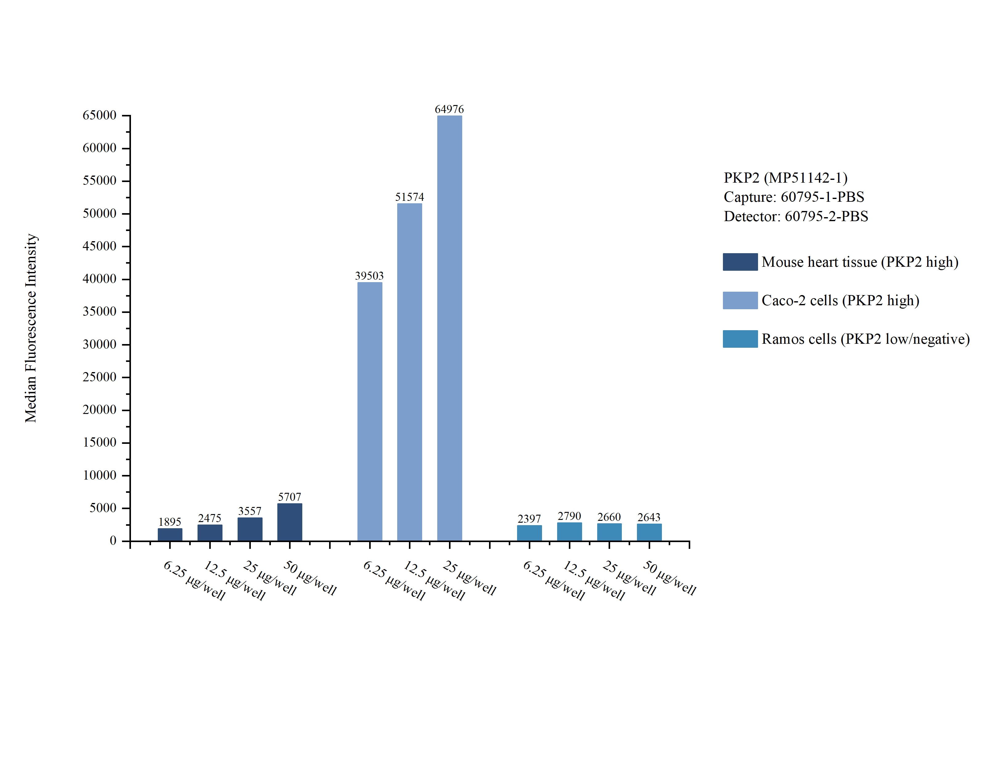 Cytometric bead array sample test of MP51142-1