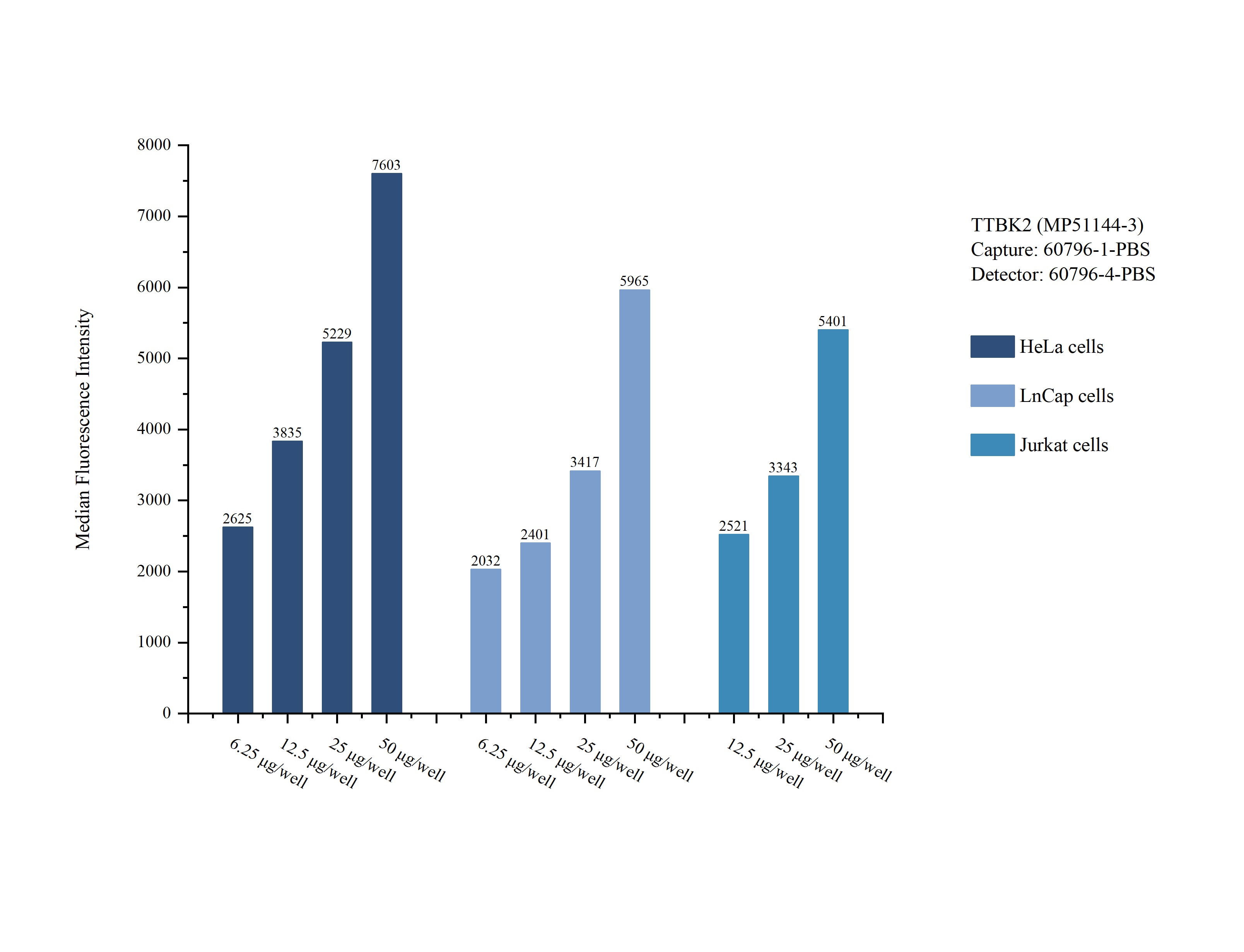 Cytometric bead array sample test of MP51144-3, TTBK2 Monoclonal Matched Antibody Pair, PBS Only. Capture antibody: 60796-1-PBS. Detection antibody: 60796-4-PBS.