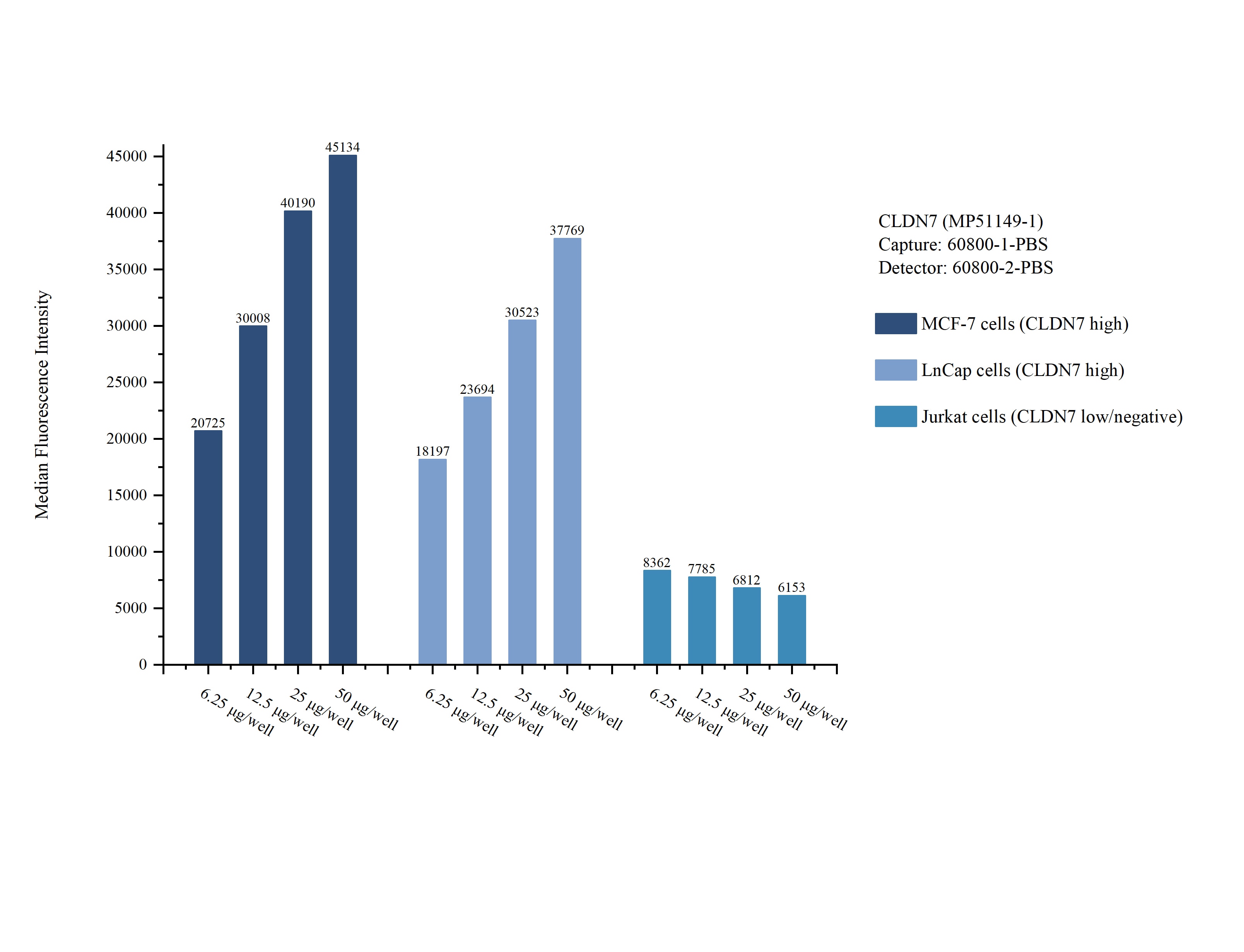 Cytometric bead array sample test of MP51149-1