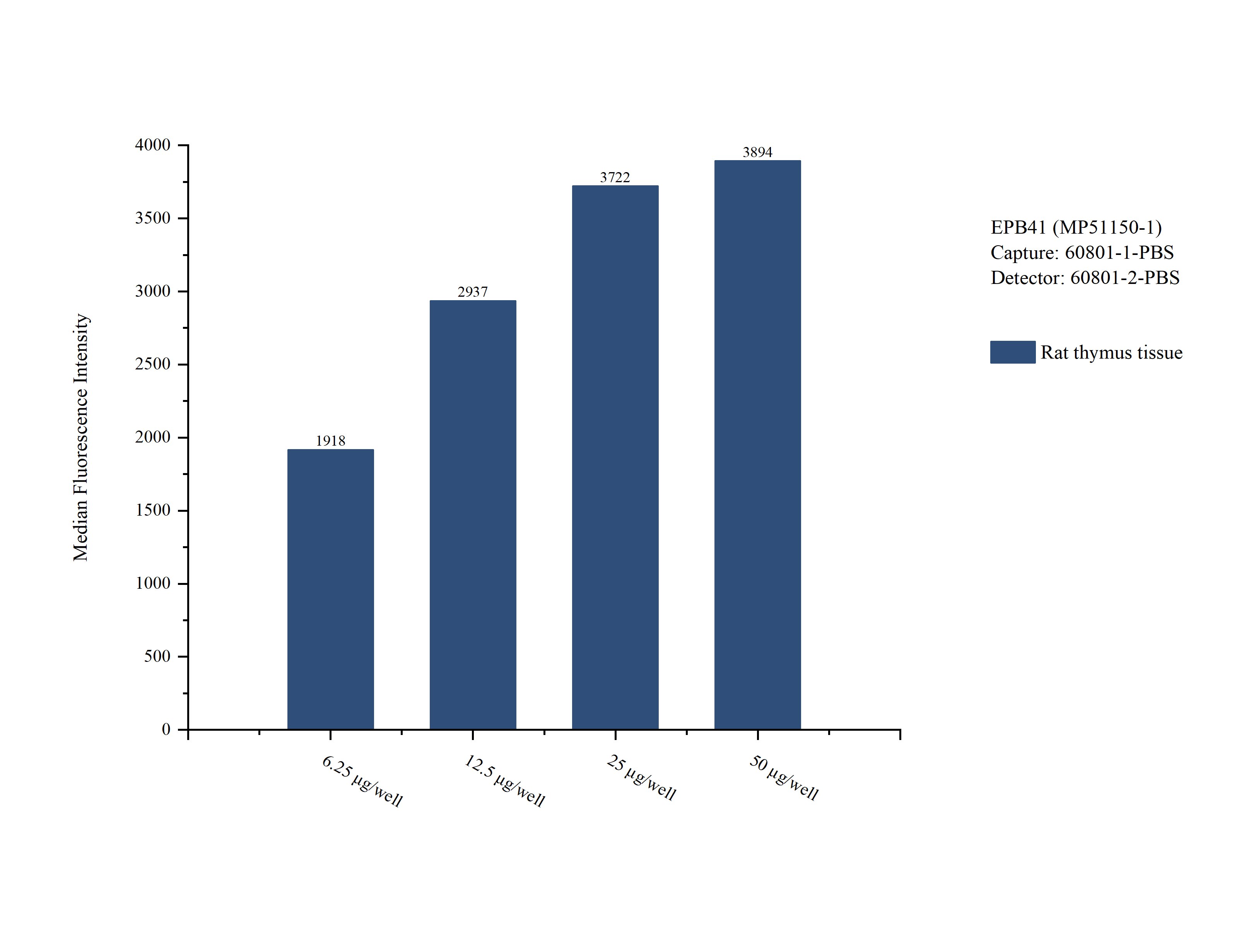 Cytometric bead array sample test of MP51150-1, EPB41 Monoclonal Matched Antibody Pair, PBS Only. Capture antibody: 60801-1-PBS. Detection antibody: 60801-2-PBS.