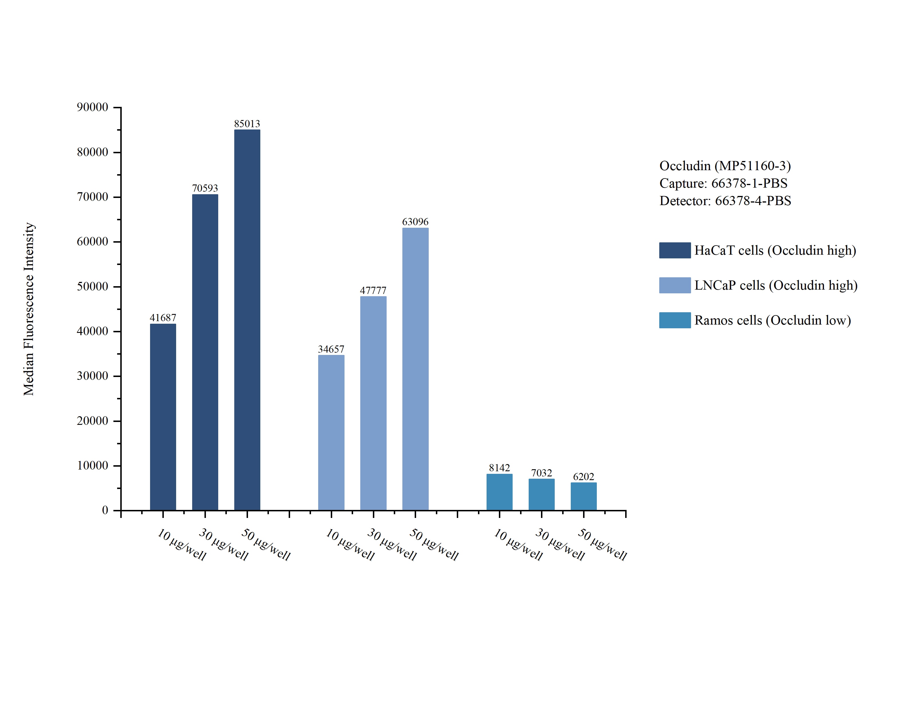 Cytometric bead array sample test of MP51160-3