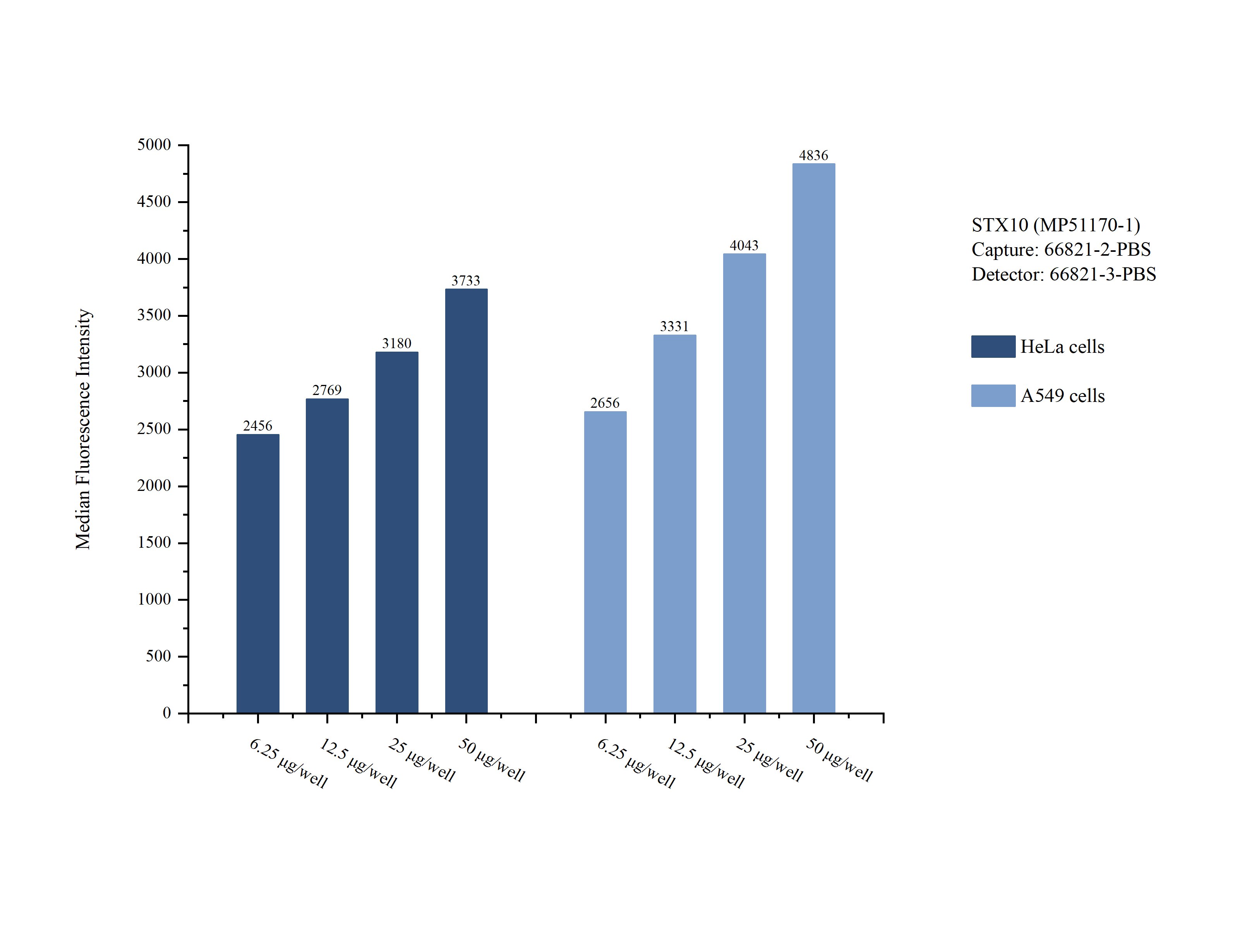 Cytometric bead array sample test of MP51170-1, STX10 Monoclonal Matched Antibody Pair, PBS Only. Capture antibody: 66821-2-PBS. Detection antibody: 66821-3-PBS.