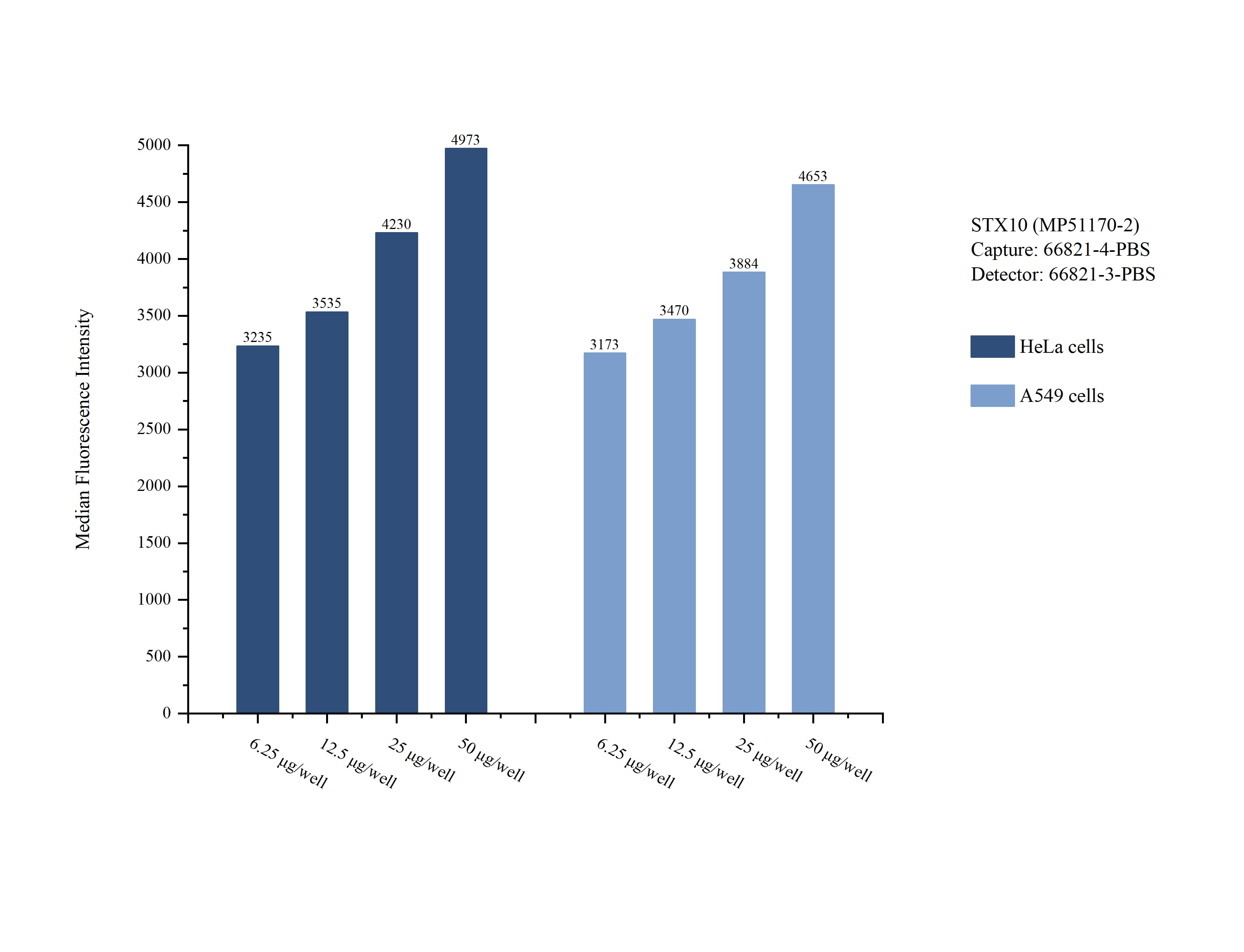 Cytometric bead array sample test of MP51170-2, STX10 Monoclonal Matched Antibody Pair, PBS Only. Capture antibody: 66821-4-PBS. Detection antibody: 66821-3-PBS. 