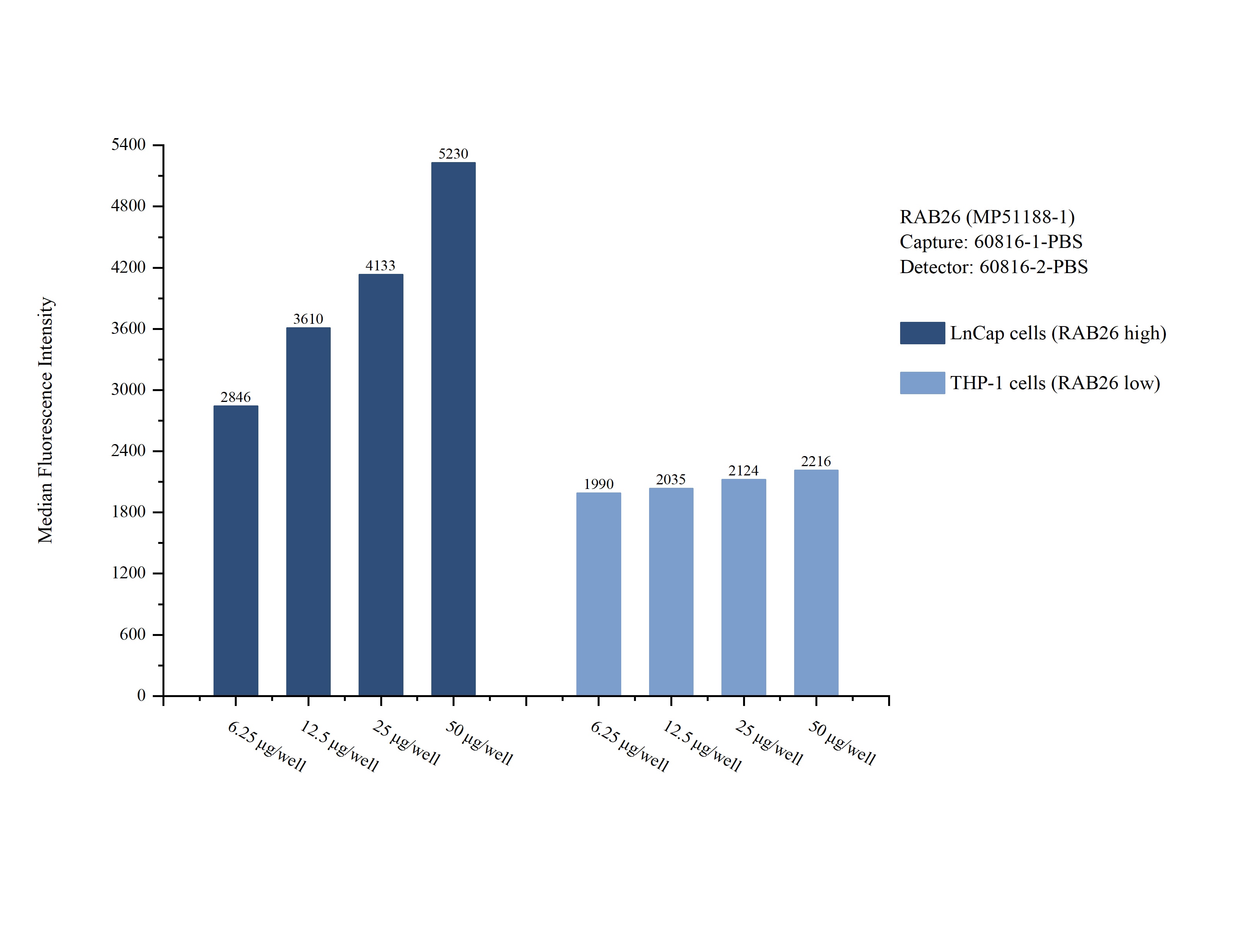 Cytometric bead array sample test of MP51188-1