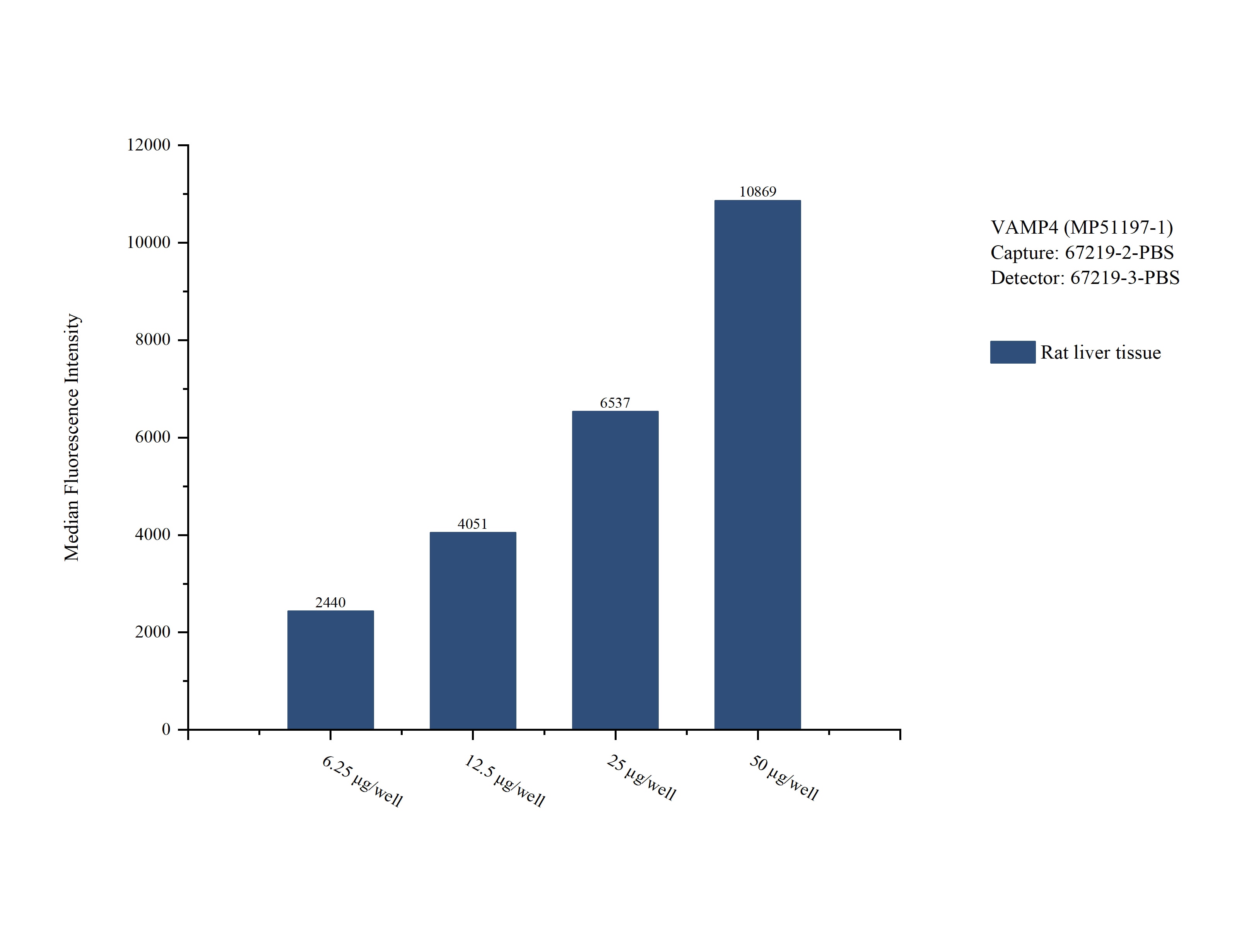 Cytometric bead array sample test of MP51197-1