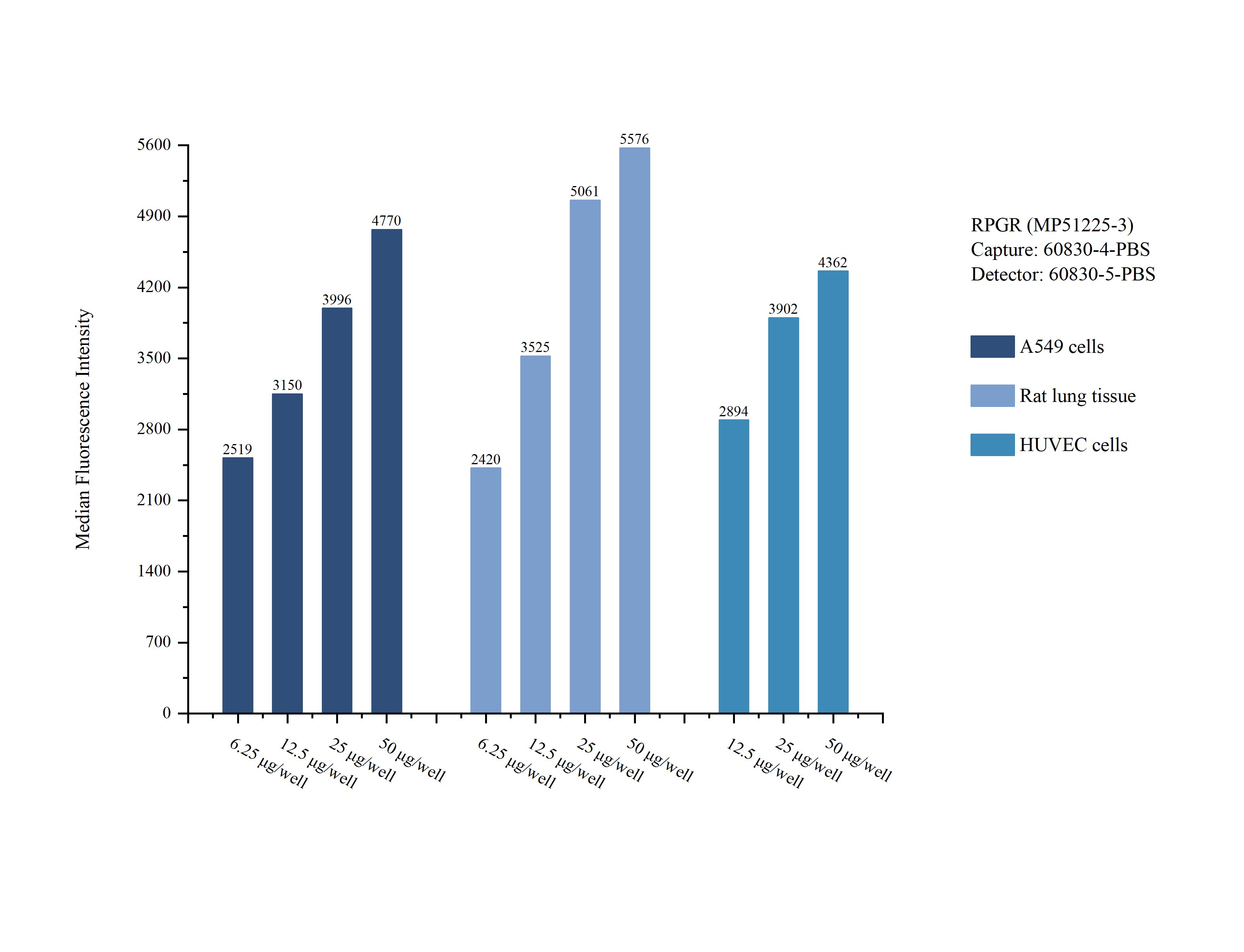 Cytometric bead array sample test of MP51225-3