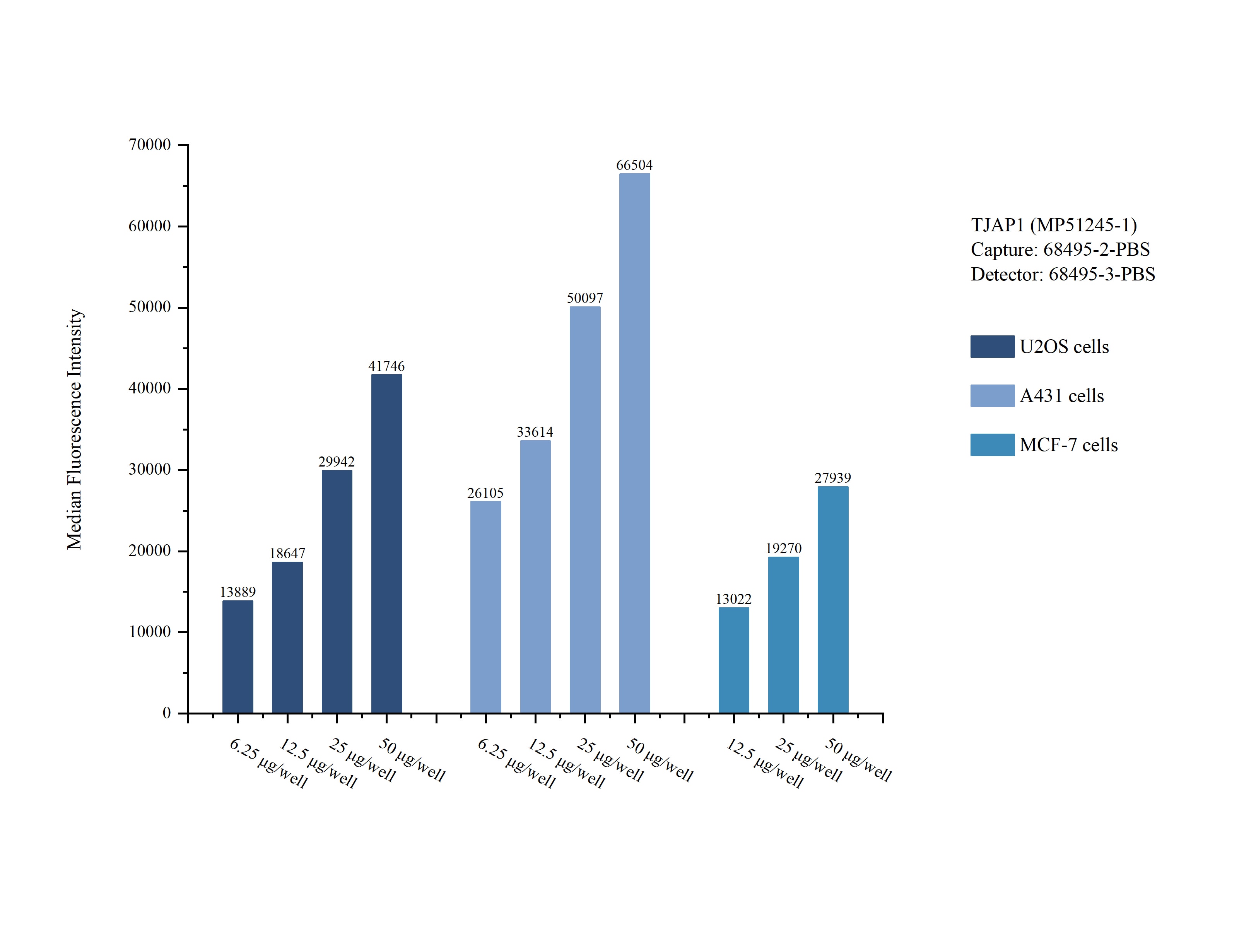 Cytometric bead array sample test of MP51245-1