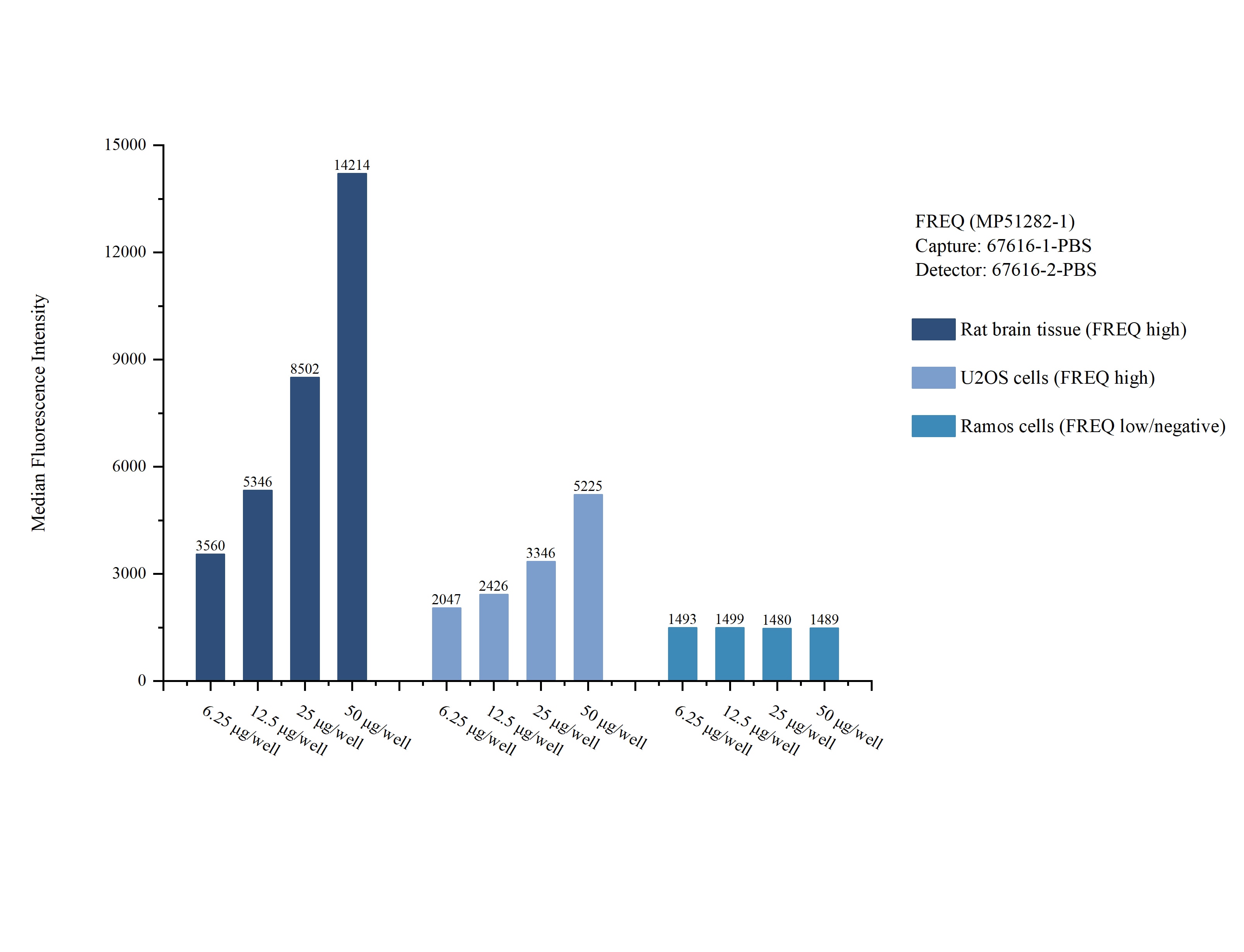 Cytometric bead array sample test of MP51282-1