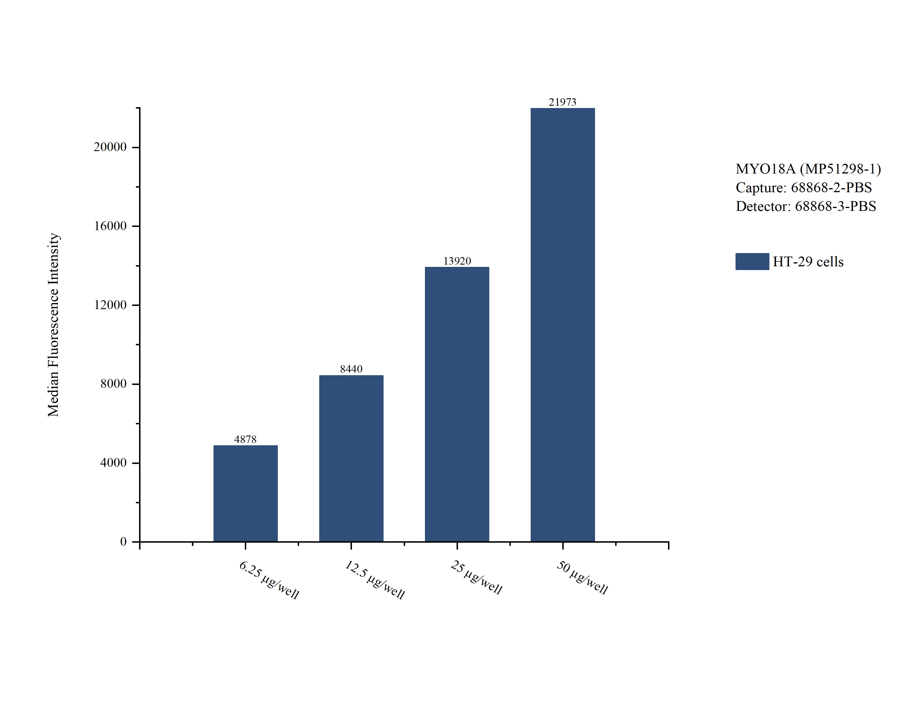 Cytometric bead array sample test of MP51298-1