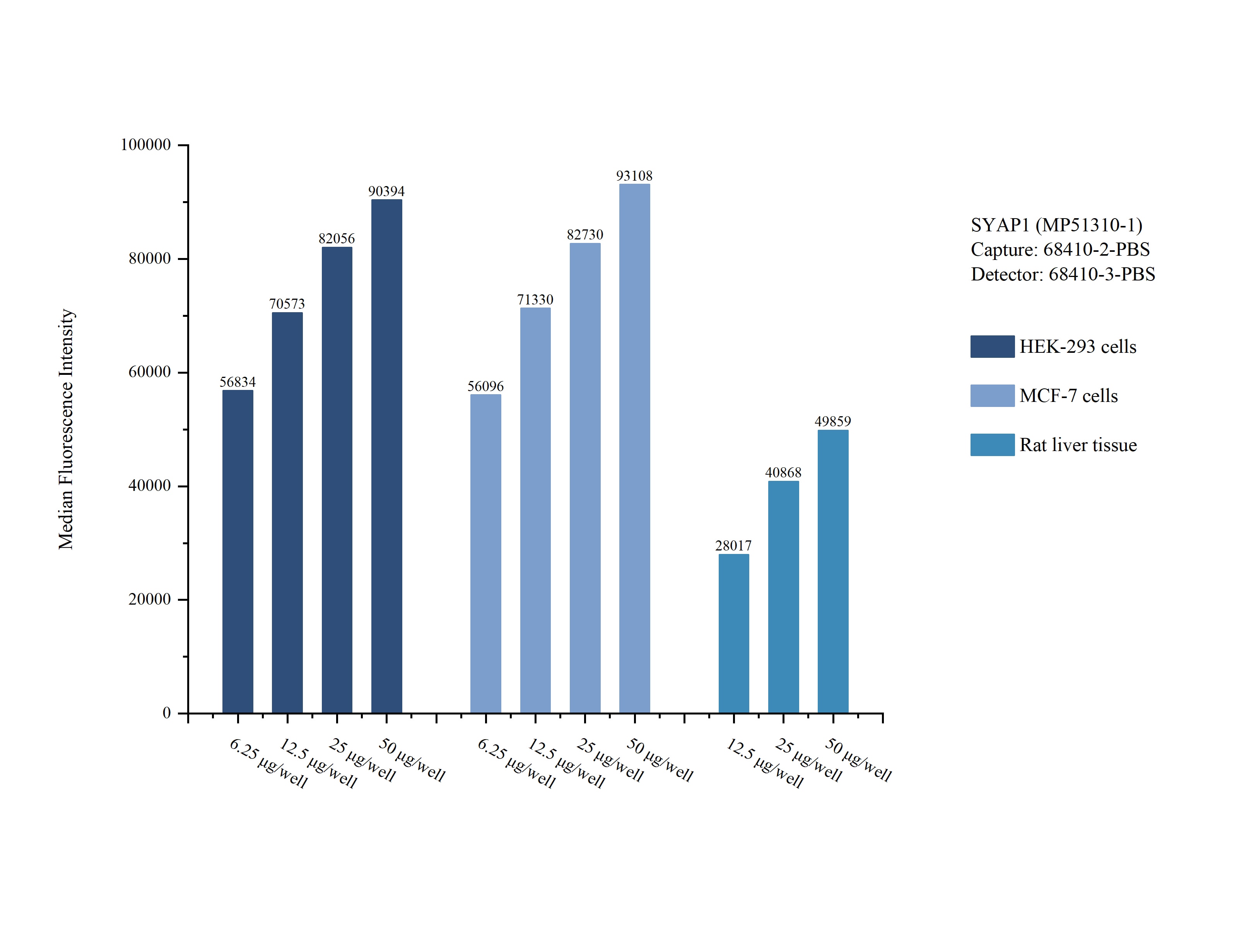 Cytometric bead array sample test of MP51310-1