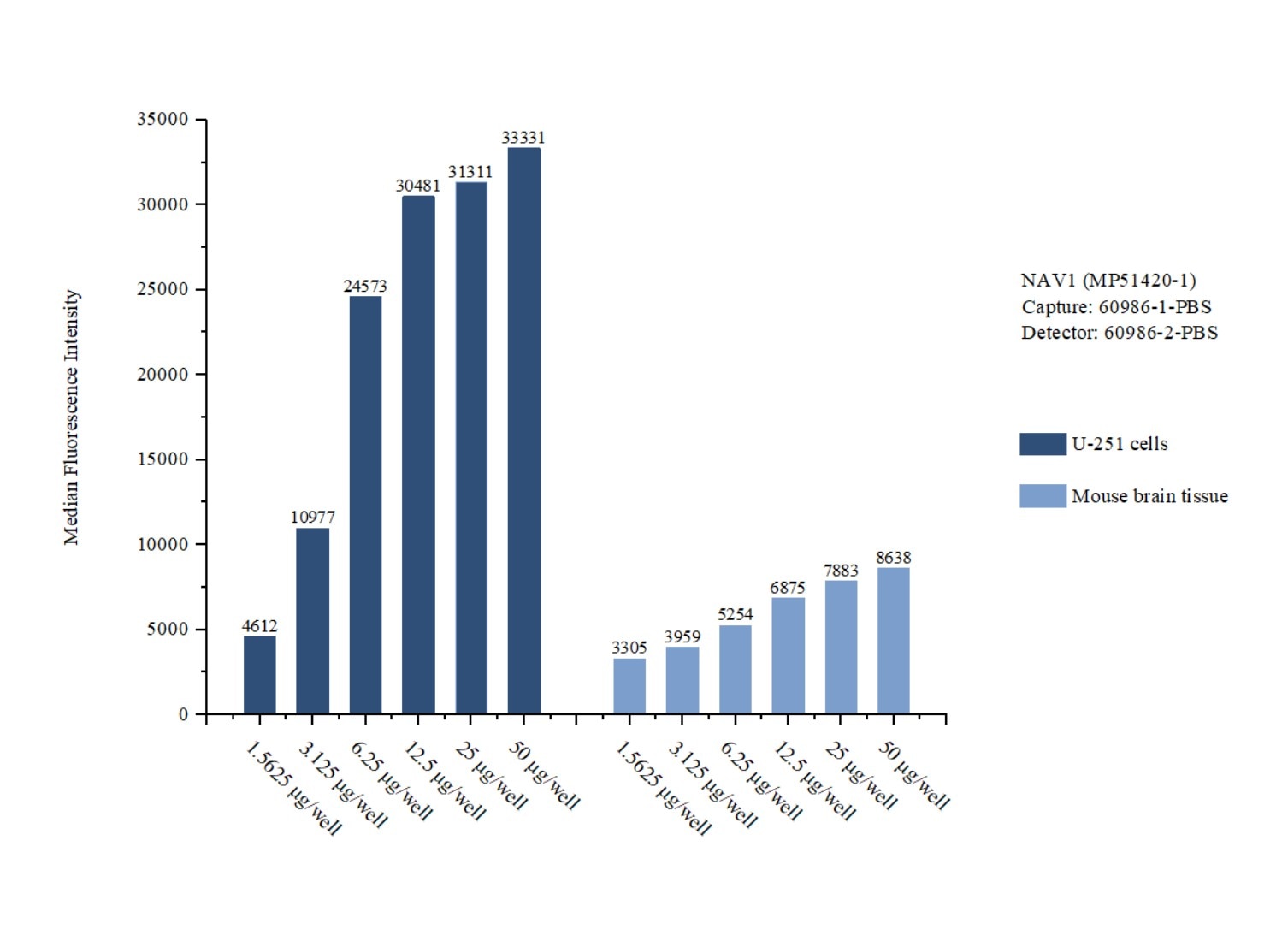 Cytometric bead array sample test of MP51420-1, NAV1 Monoclonal Matched Antibody Pair, PBS Only. Capture antibody: 60986-1-PBS. Detection antibody: 60986-2-PBS. 
