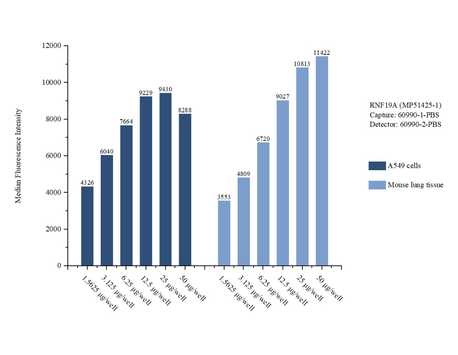 Cytometric bead array sample test of MP51425-1, RNF19A Monoclonal Matched Antibody Pair, PBS Only. Capture antibody: 60990-1-PBS. Detection antibody: 60990-2-PBS. 