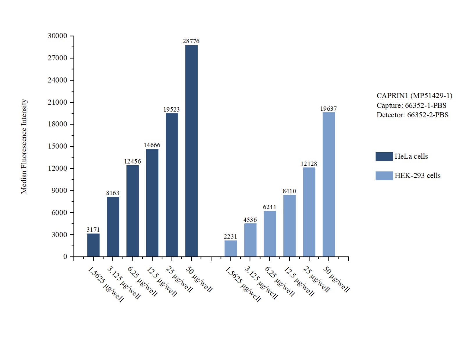 Cytometric bead array sample test of MP51429-1, CAPRIN1 Monoclonal Matched Antibody Pair, PBS Only. Capture antibody: 66352-1-PBS. Detection antibody: 66352-2-PBS. Cytometric bead array sample test of MP51429-1
