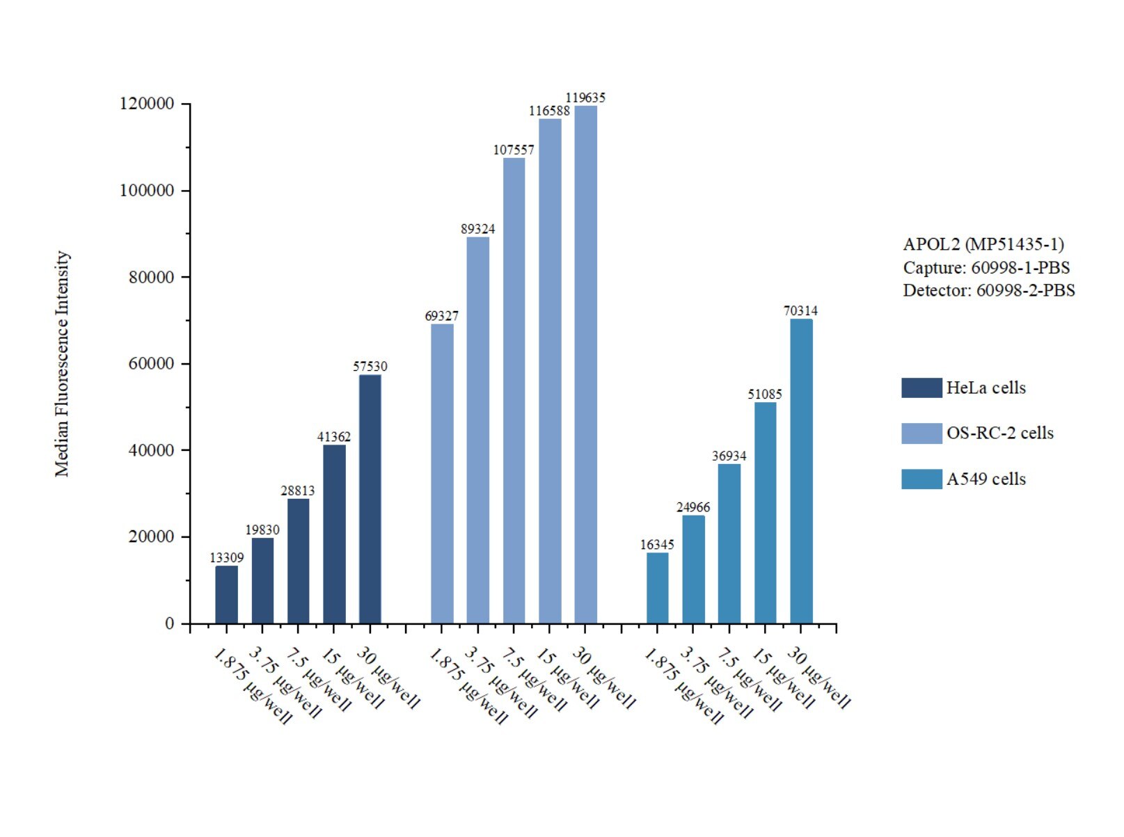 Cytometric bead array sample test of MP51435-1