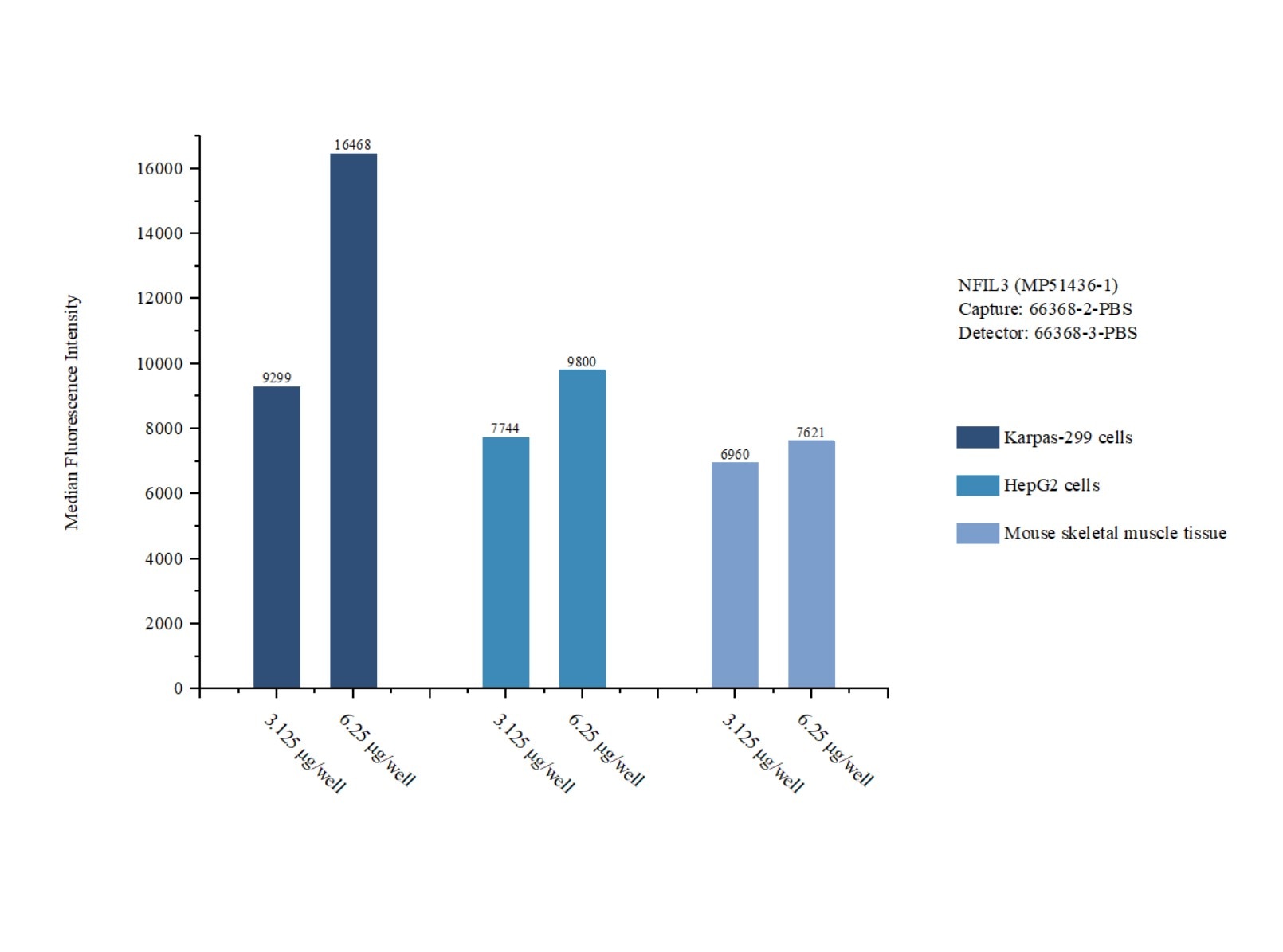 Cytometric bead array sample test of MP51436-1