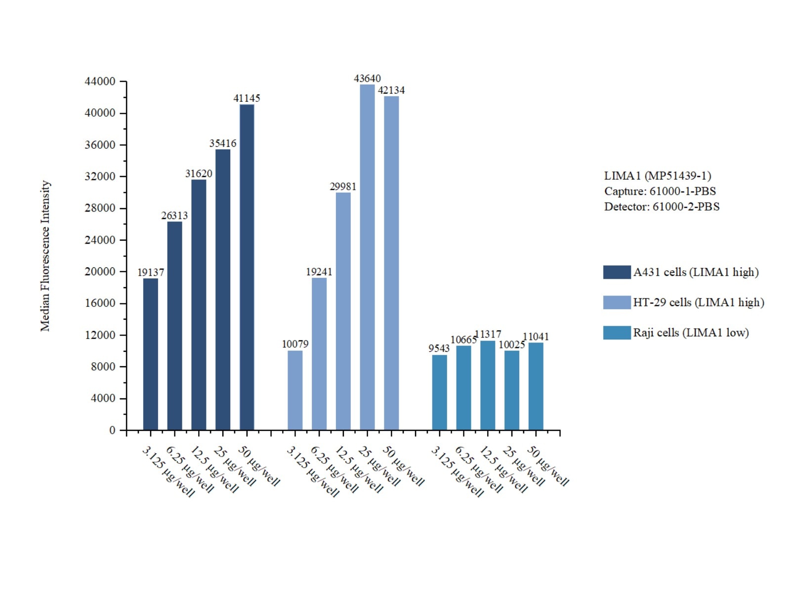 Cytometric bead array sample test of MP51439-1