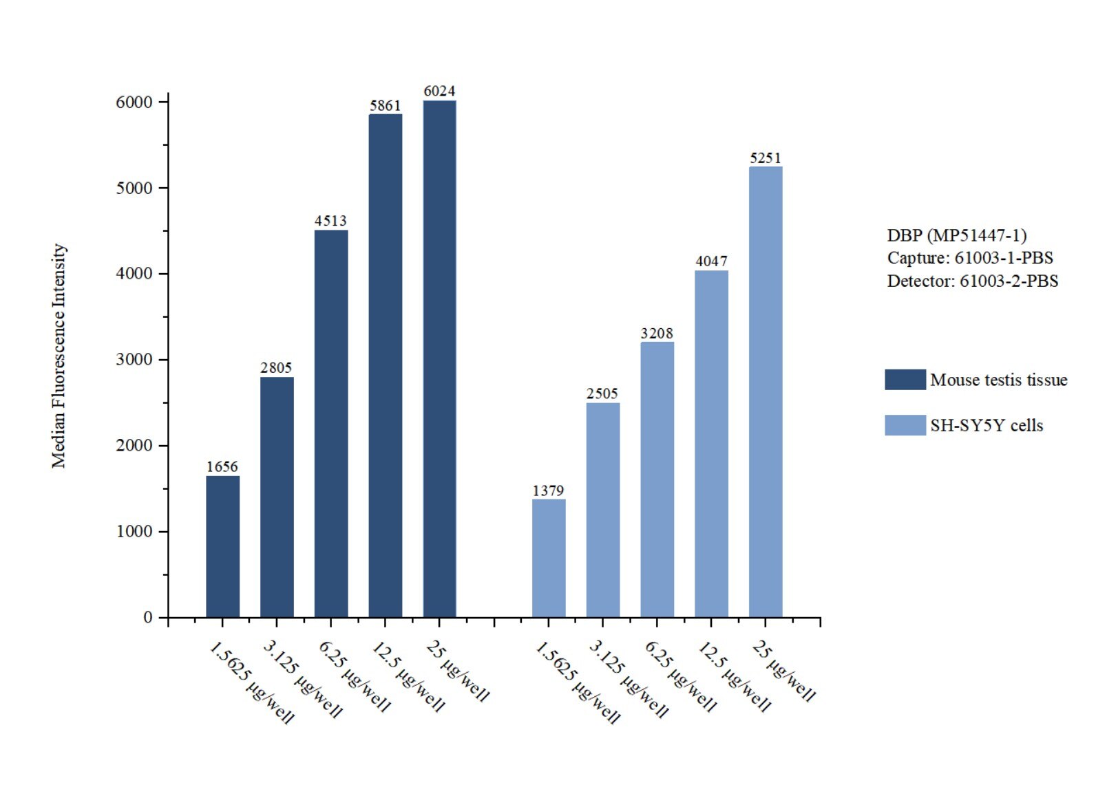 Cytometric bead array sample test of MP51447-1, DBP Monoclonal Matched Antibody Pair, PBS Only. Capture antibody: 61003-1-PBS. Detection antibody: 61003-2-PBS. 