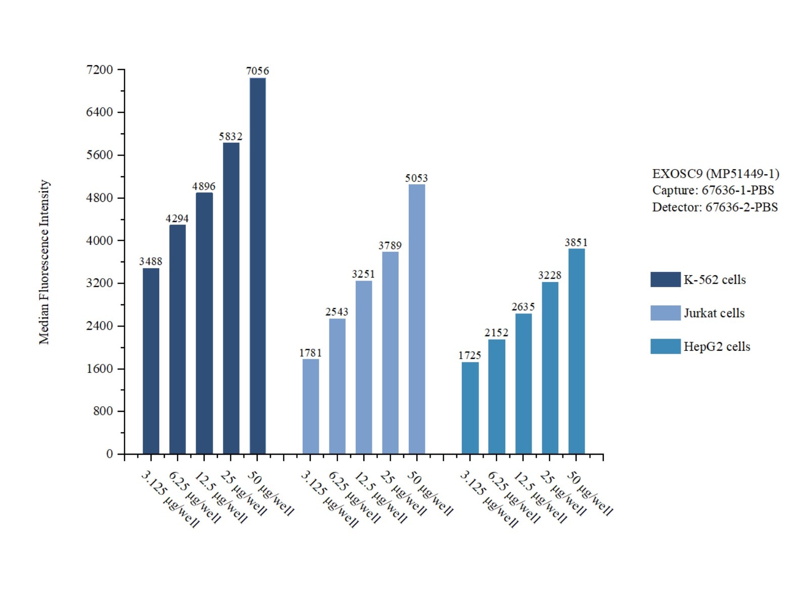 Cytometric bead array sample test of MP51449-1, EXOSC9 Monoclonal Matched Antibody Pair, PBS Only. Capture antibody: 67636-1-PBS. Detection antibody: 67636-2-PBS.  Cytometric bead array sample test of MP51449-1
