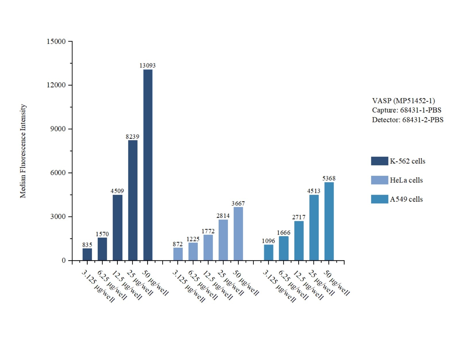 Cytometric bead array sample test of MP51452-1, VASP Monoclonal Matched Antibody Pair, PBS Only. Capture antibody: 68431-1-PBS. Detection antibody: 68431-2-PBS. Cytometric bead array sample test of MP51452-1