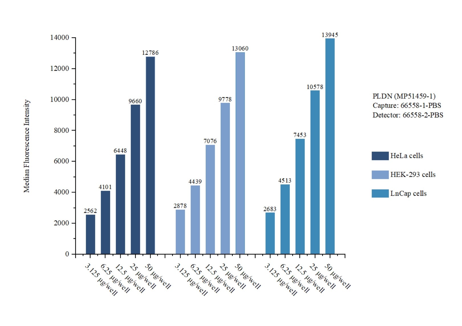 Cytometric bead array sample test of MP51459-1, PLDN Monoclonal Matched Antibody Pair, PBS Only. Capture antibody: 66558-1-PBS. Detection antibody: 66558-2-PBS. Cytometric bead array sample test of MP51459-1
