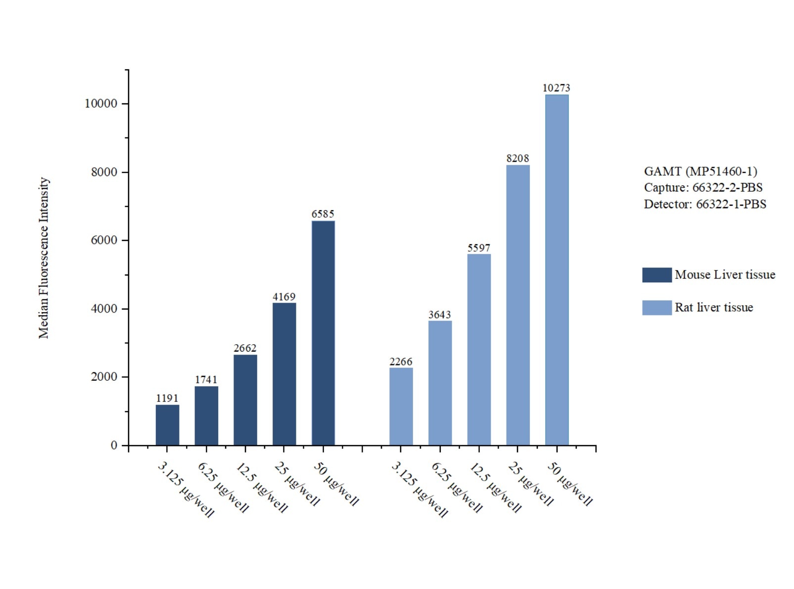 Cytometric bead array sample test of MP51460-1