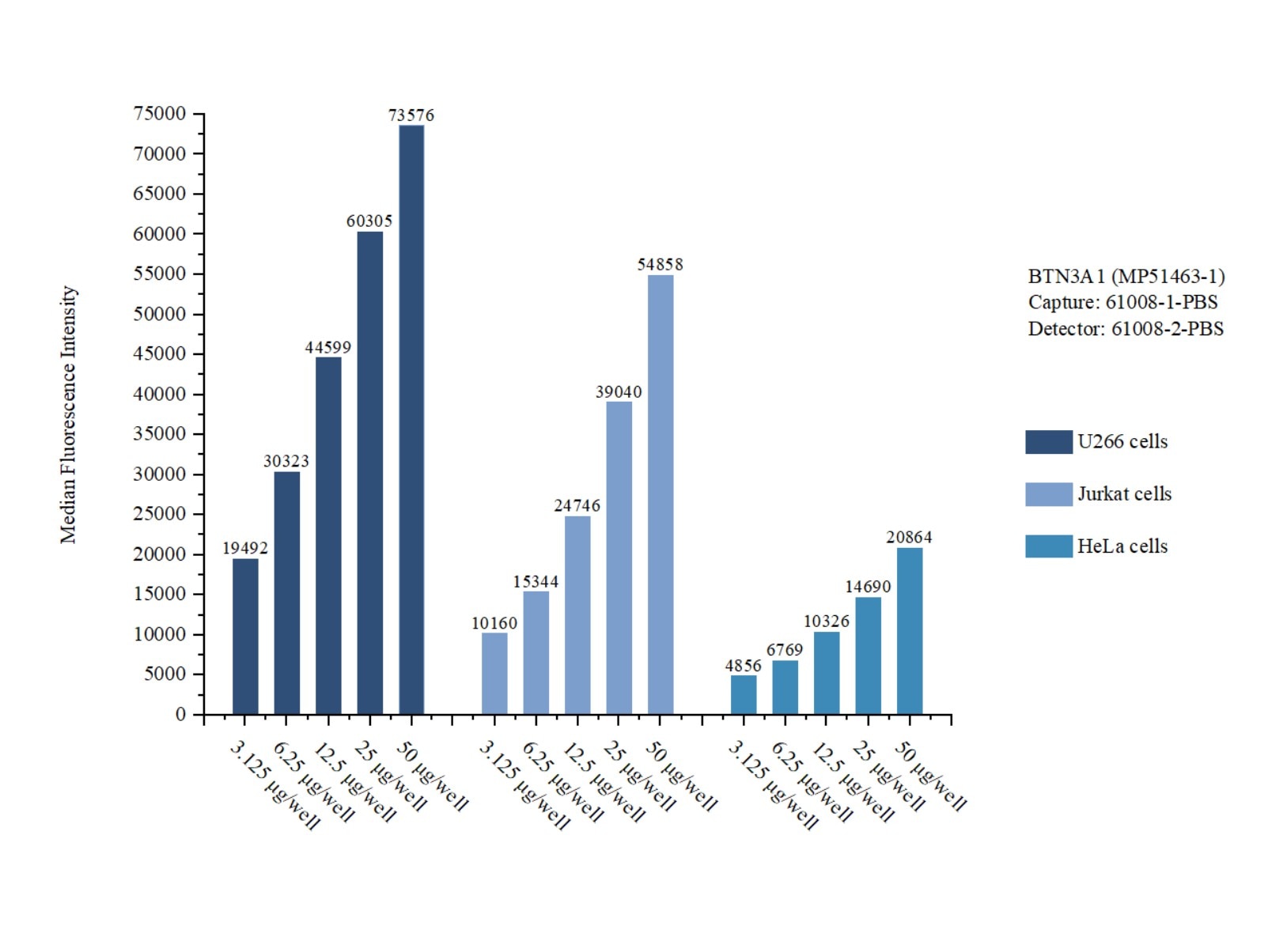 Cytometric bead array sample test of MP51463-1