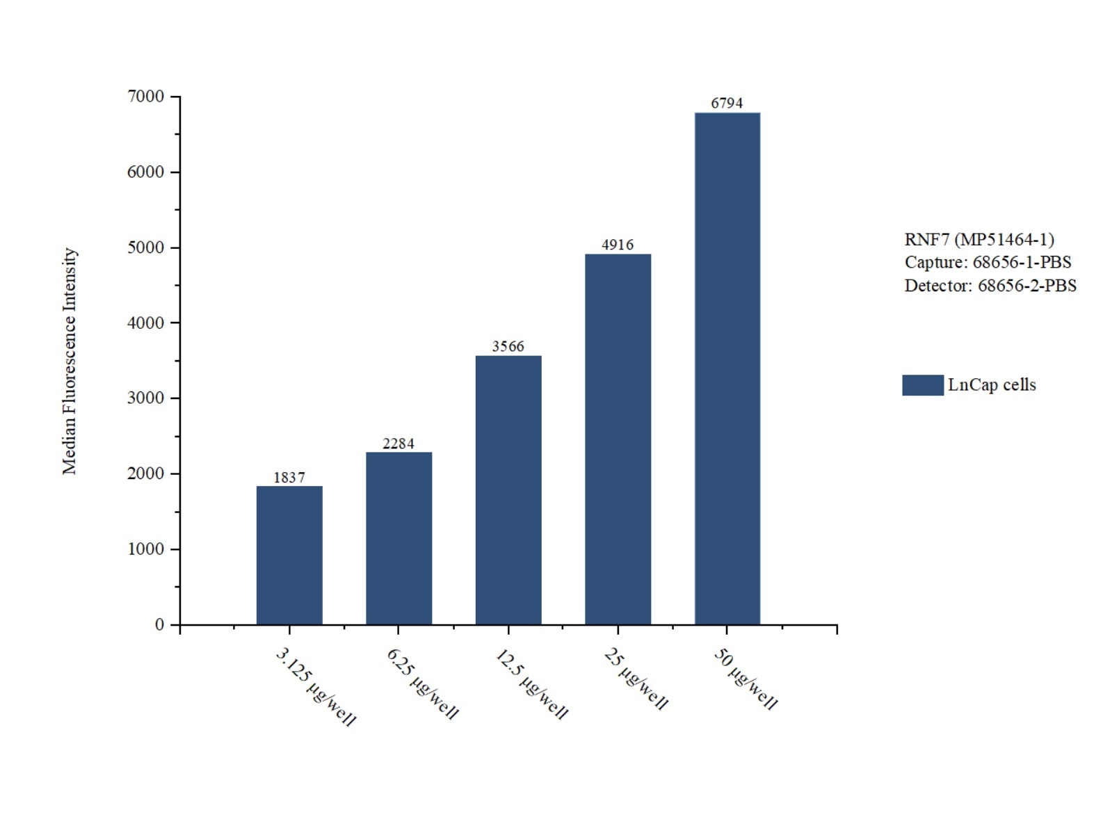 Cytometric bead array sample test of MP51464-1, SAG Monoclonal Matched Antibody Pair, PBS Only. Capture antibody: 68656-1-PBS. Detection antibody: 68656-2-PBS. Cytometric bead array sample test of MP51464-1