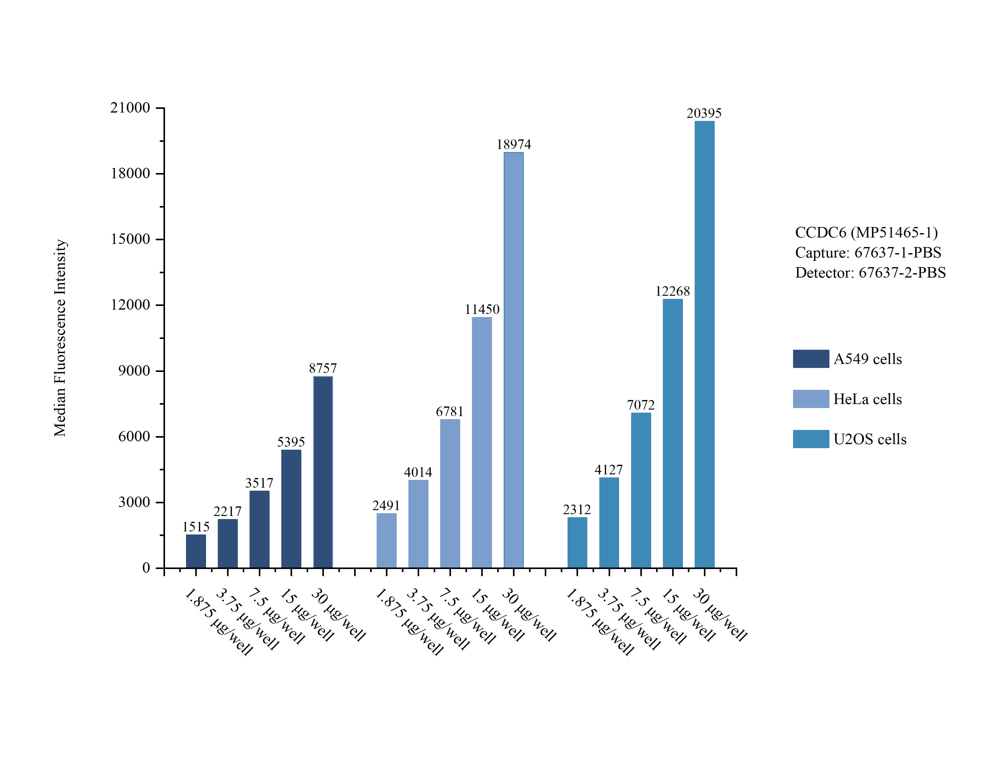 Cytometric bead array sample test of MP51465-1, CCDC6 Monoclonal Matched Antibody Pair, PBS Only. Capture antibody: 67637-1-PBS. Detection antibody: 67637-2-PBS. Cytometric bead array sample test of MP51465-1