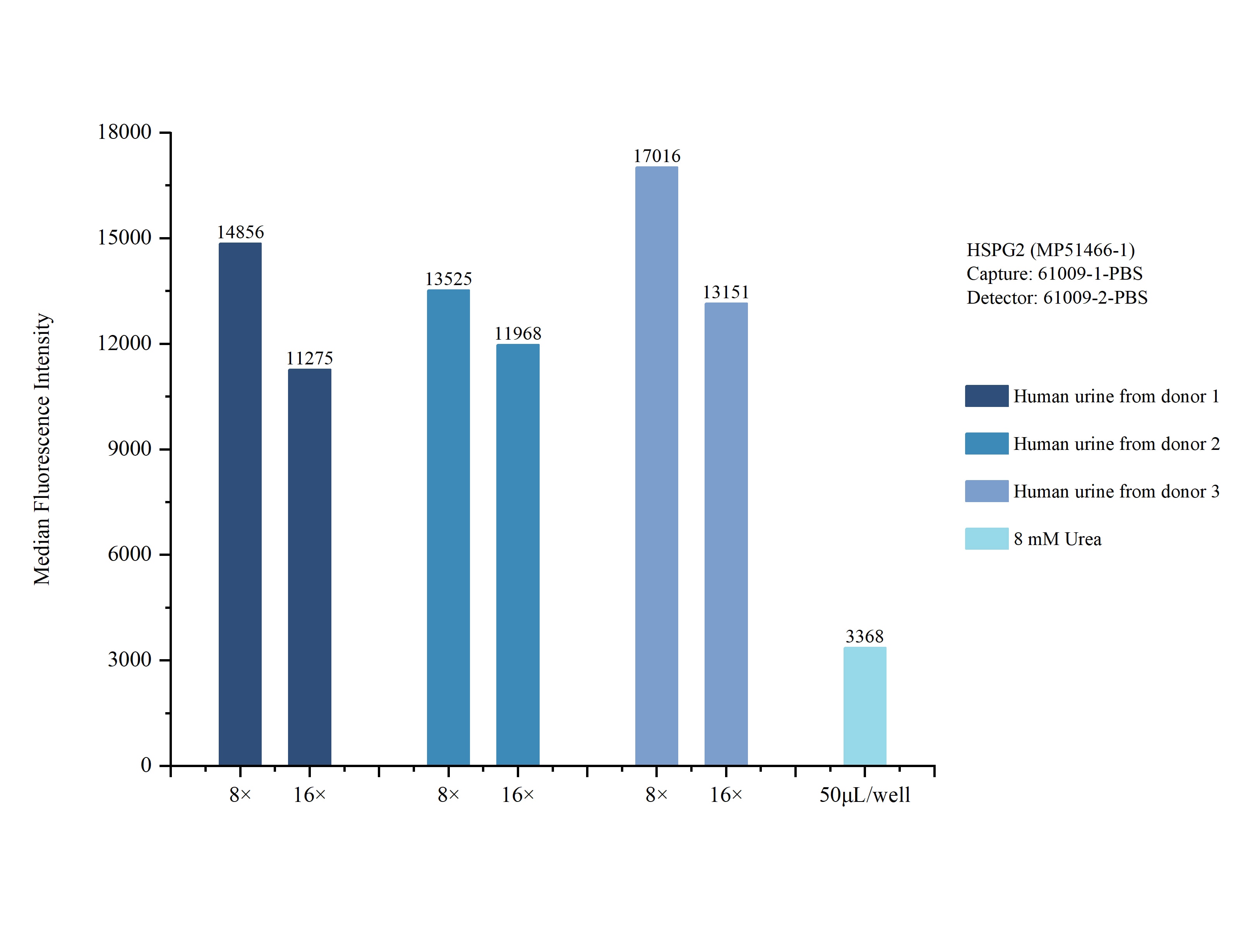 Cytometric bead array sample test of MP51466-1 Cytometric bead array sample test of MP51466-1