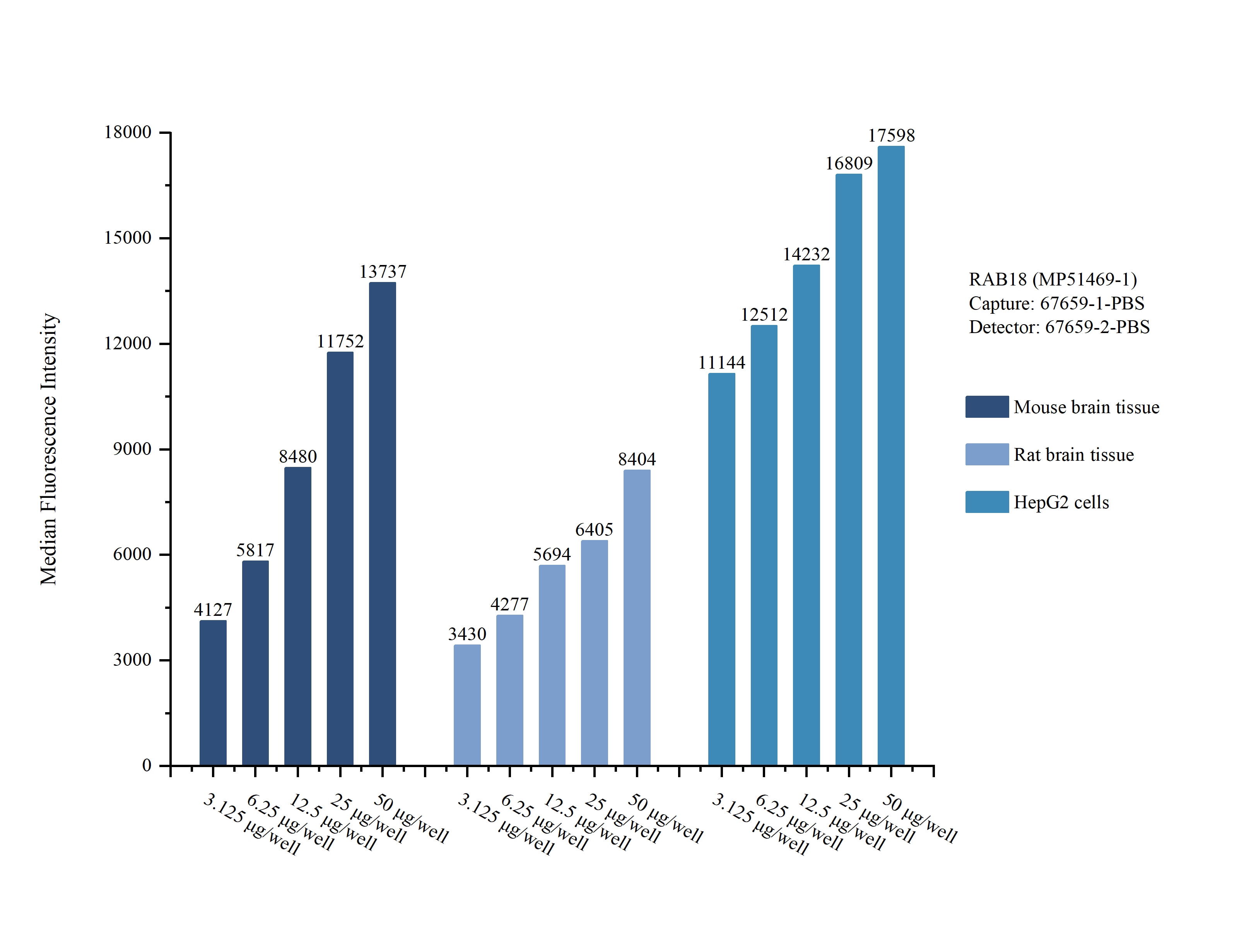 Cytometric bead array sample test of MP51469-1, RAB18 Monoclonal Matched Antibody Pair, PBS Only. Capture antibody: 67659-1-PBS. Detection antibody: 67659-2-PBS. Cytometric bead array sample test of MP51469-1