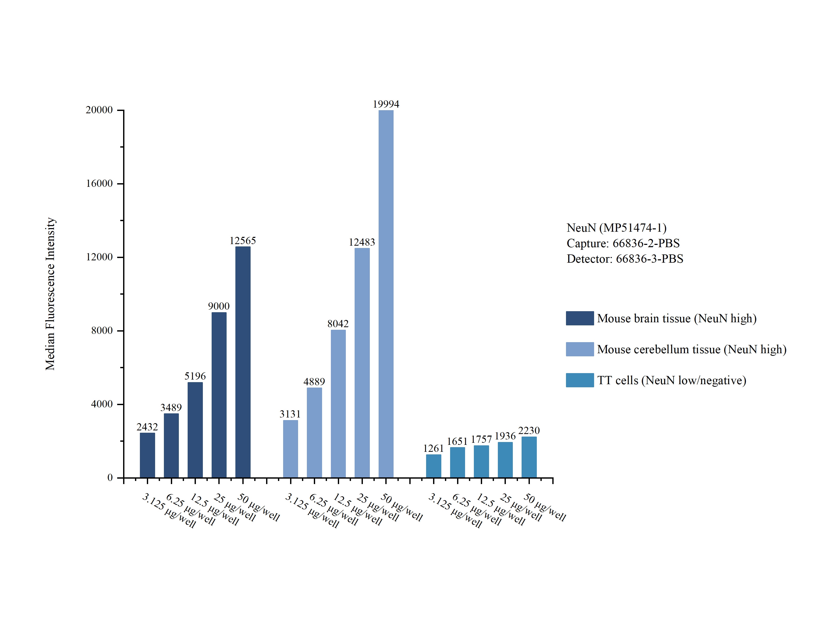 Cytometric bead array sample test of MP51474-1, NeuN Monoclonal Matched Antibody Pair, PBS Only. Capture antibody: 66836-2-PBS. Detection antibody: 66836-3-PBS. Cytometric bead array sample test of MP51474-1, NeuN Monoclonal Matched Antibody Pair, PBS Only. Capture antibody: 66836-2-PBS. Detection antibody: 66836-3-PBS.