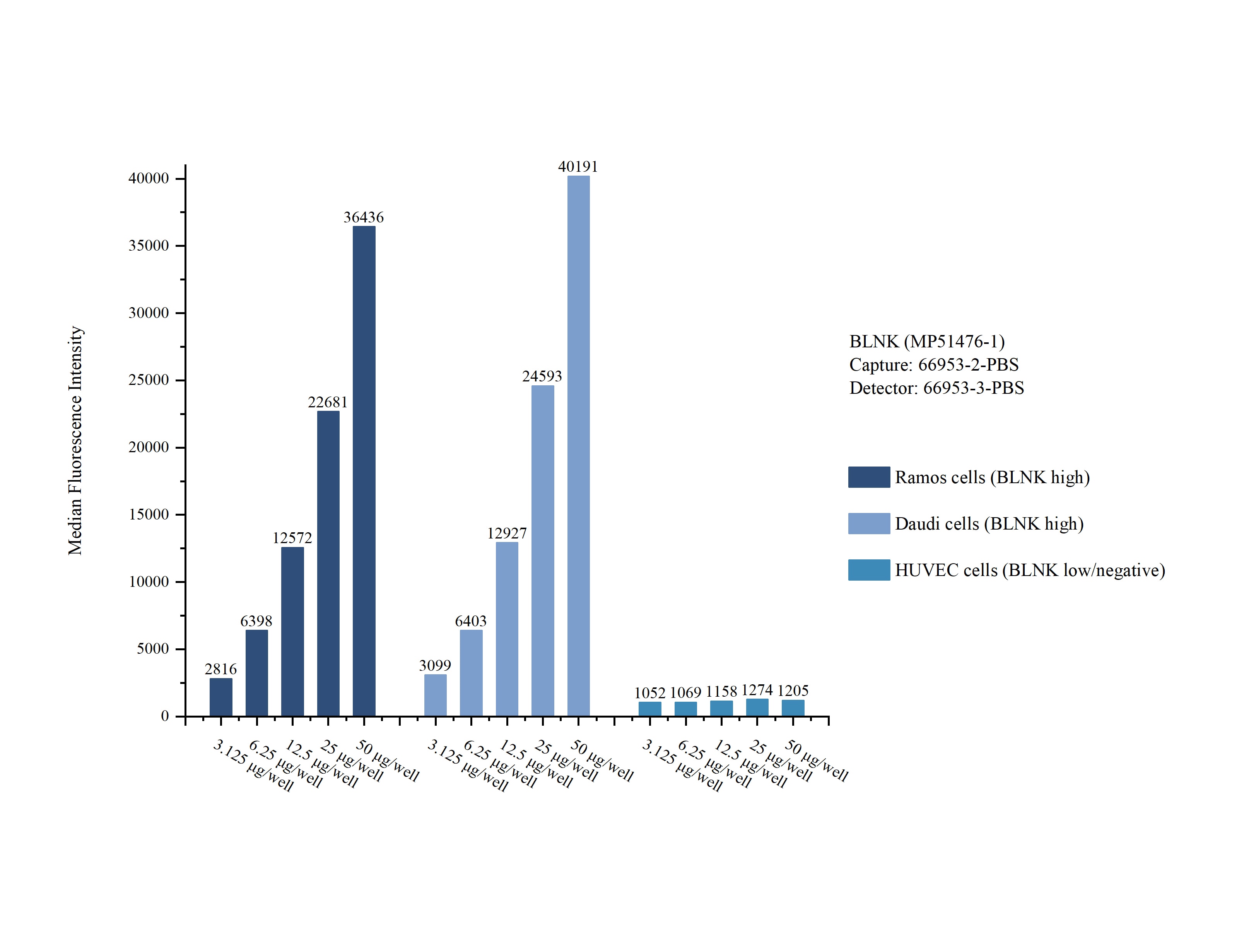 Cytometric bead array sample test of MP51476-1, BLNK Monoclonal Matched Antibody Pair, PBS Only. Capture antibody: 66953-2-PBS. Detection antibody: 66953-3-PBS. Cytometric bead array sample test of MP51476-1, BLNK Monoclonal Matched Antibody Pair, PBS Only. Capture antibody: 66953-2-PBS. Detection antibody: 66953-3-PBS.