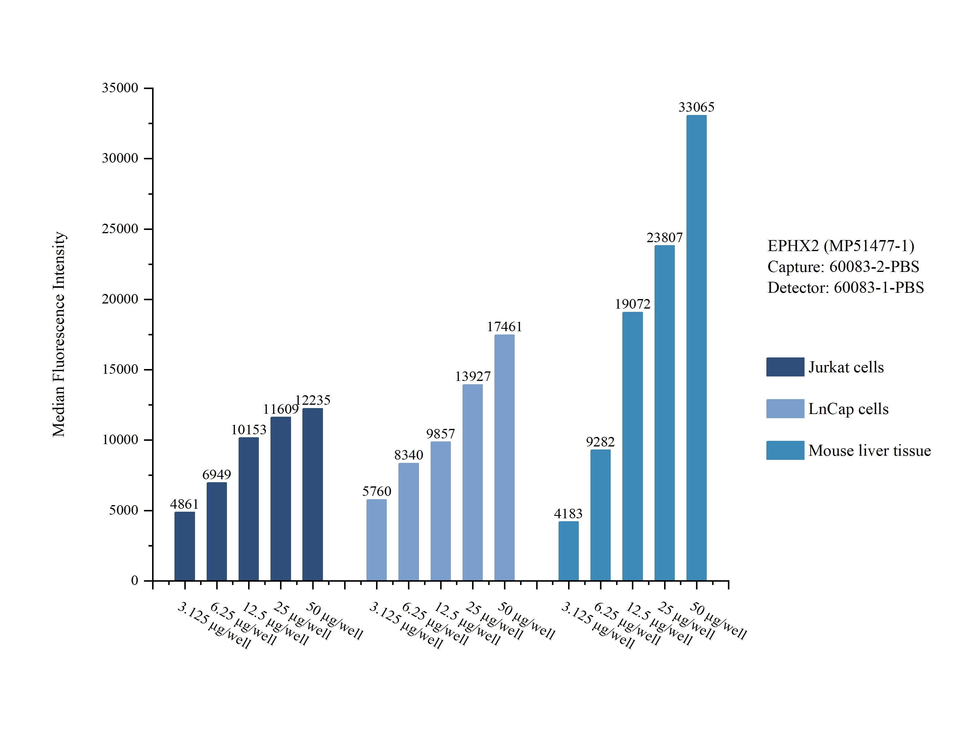 Cytometric bead array sample test of MP51477-1, EPHX2 Monoclonal Matched Antibody Pair, PBS Only. Capture antibody: 60083-2-PBS. Detection antibody: 60083-1-PBS. Cytometric bead array sample test of MP51477-1