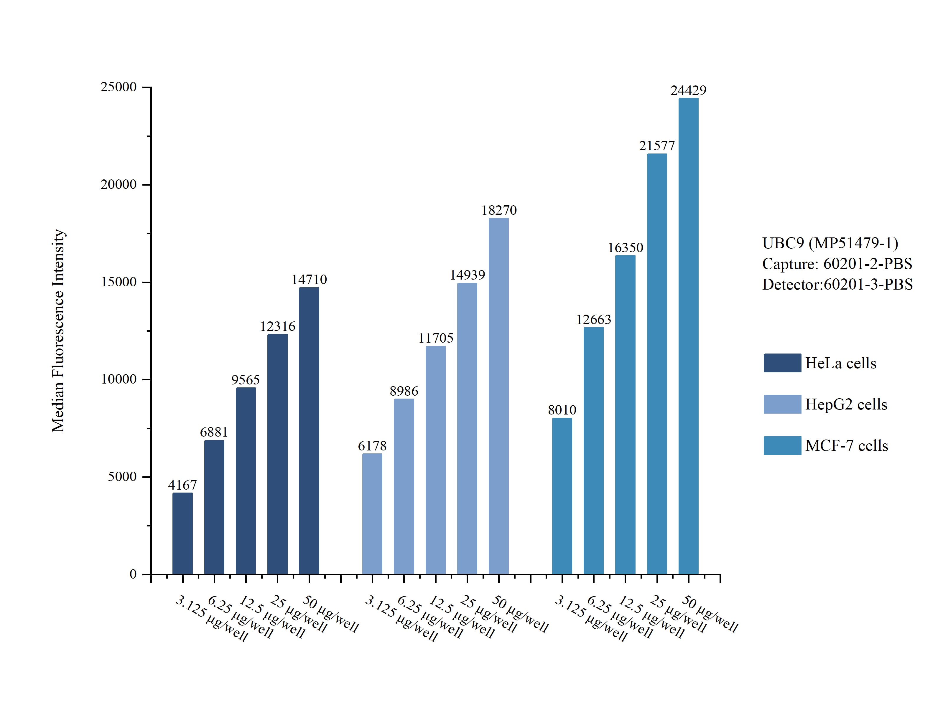 Cytometric bead array sample test of MP51479-1
