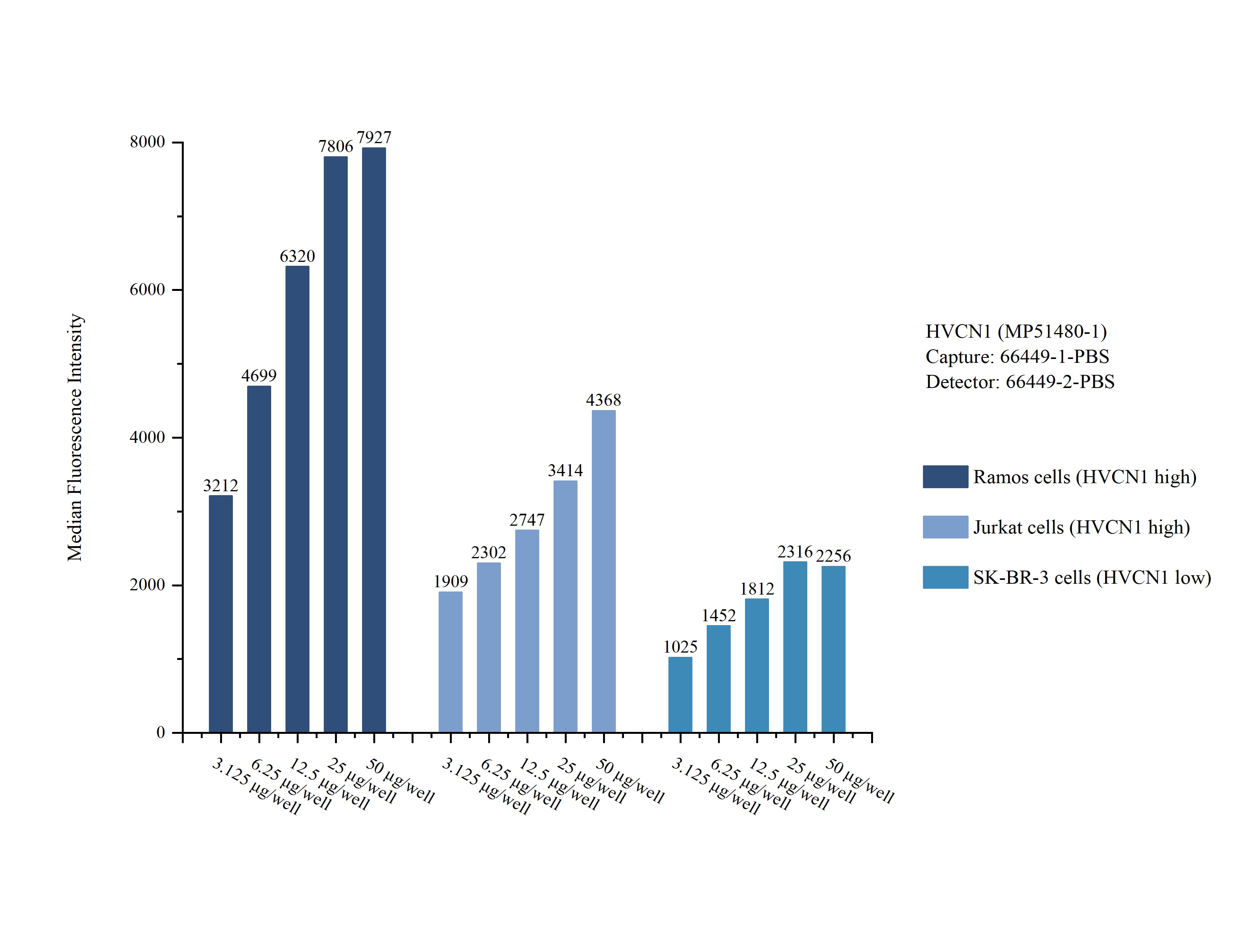Cytometric bead array sample test of MP51480-1, HVCN1 Monoclonal Matched Antibody Pair, PBS Only. Capture antibody: 66449-1-PBS. Detection antibody: 66449-2-PBS. Cytometric bead array sample test of MP51480-1