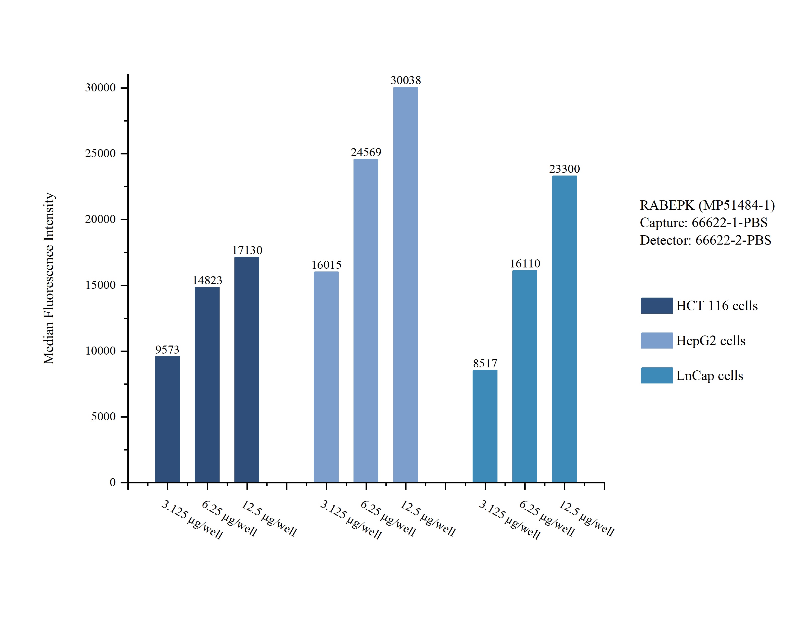 Cytometric bead array sample test of MP51484-1, RABEPK Monoclonal Matched Antibody Pair, PBS Only. Capture antibody: 66622-1-PBS. Detection antibody: 66622-2-PBS.  Cytometric bead array sample test of MP51484-1