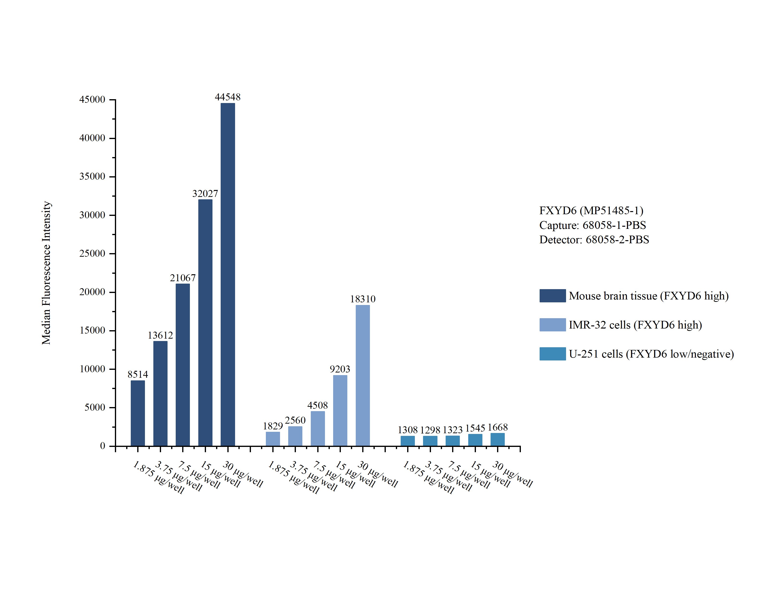 Cytometric bead array sample test of MP51485-1, FXYD6 Monoclonal Matched Antibody Pair, PBS Only. Capture antibody: 68058-1-PBS. Detection antibody: 68058-2-PBS. Cytometric bead array sample test of MP51485-1