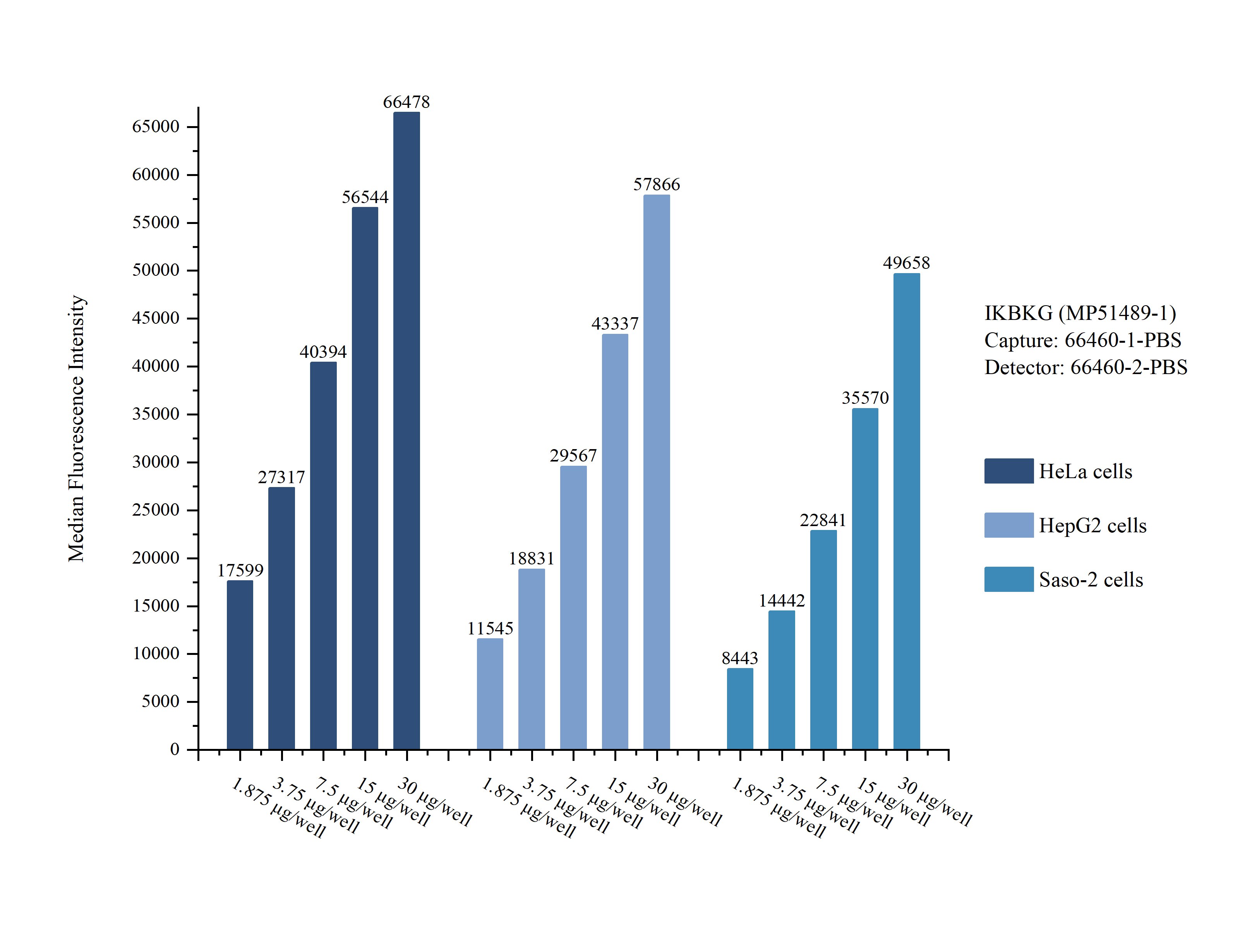 Cytometric bead array sample test of MP51489-1, IKBKG Monoclonal Matched Antibody Pair, PBS Only. Capture antibody: 66460-1-PBS. Detection antibody: 66460-2-PBS.  Cytometric bead array sample test of MP51489-1