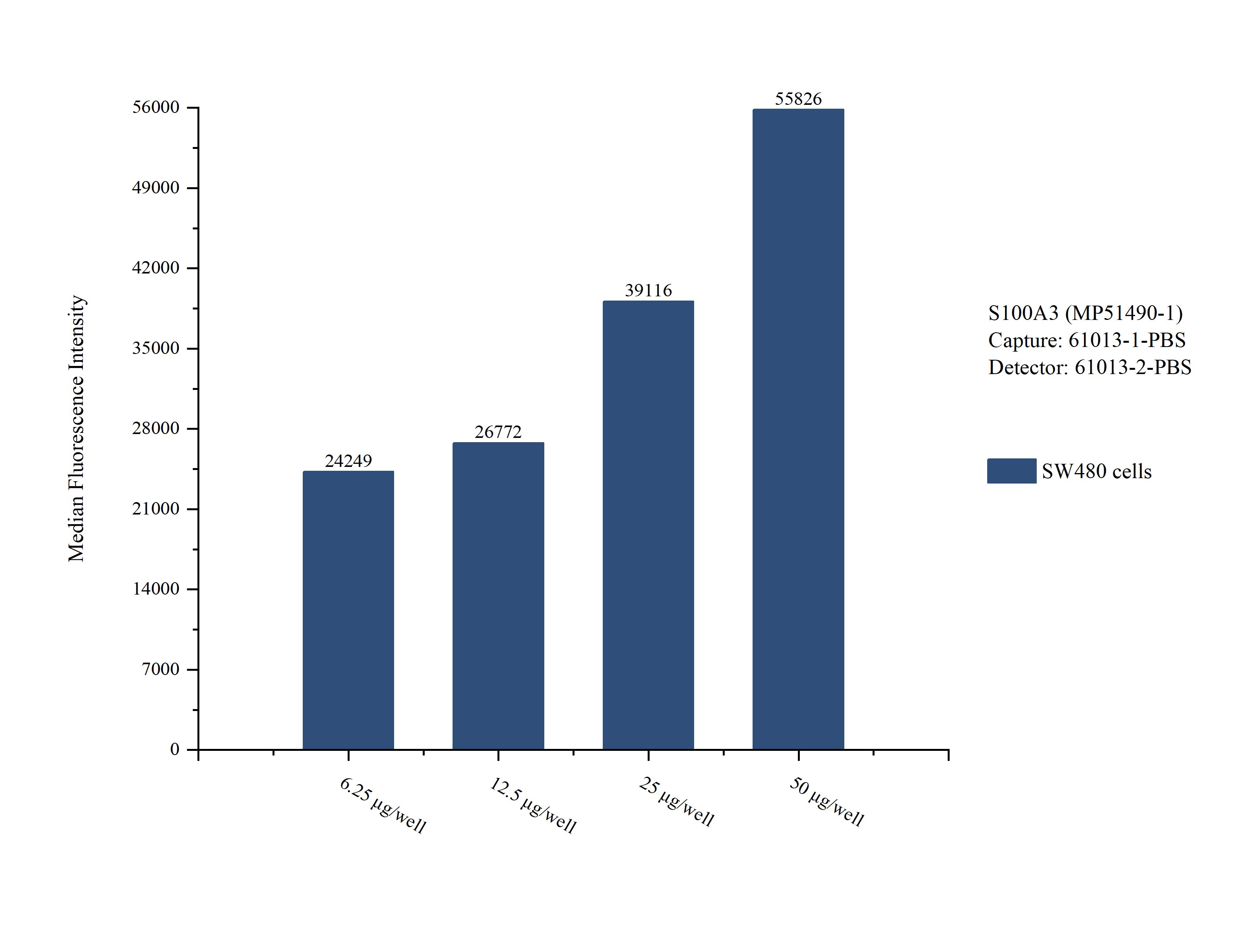 Cytometric bead array sample test of MP51490-1, S100A3 Monoclonal Matched Antibody Pair, PBS Only. Capture antibody: 61013-1-PBS. Detection antibody: 61013-2-PBS. Cytometric bead array sample test of MP51490-1