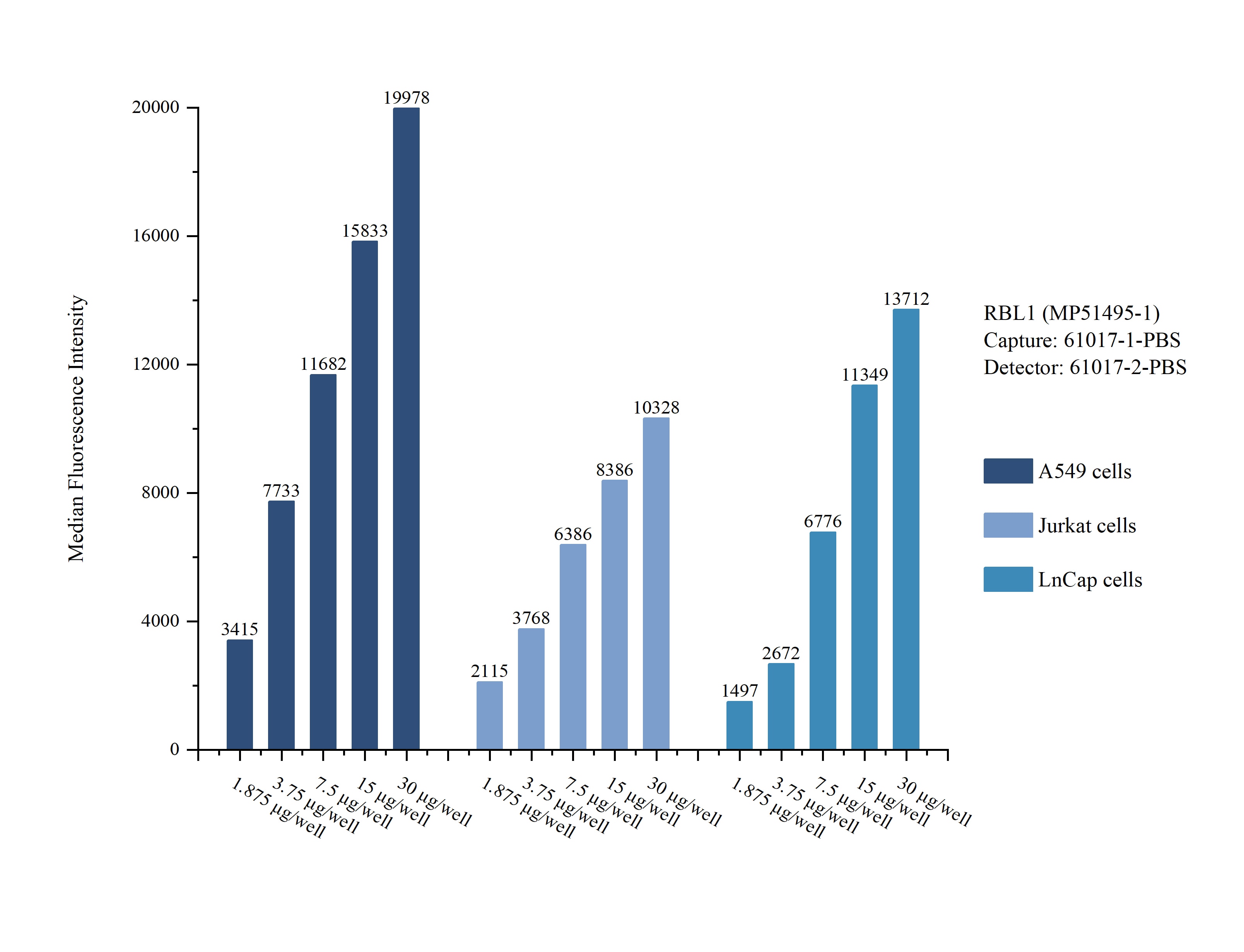 Cytometric bead array sample test of MP51495-1, RBL1 Monoclonal Matched Antibody Pair, PBS Only. Capture antibody: 61017-1-PBS. Detection antibody: 61017-2-PBS. Cytometric bead array sample test of MP51495-1, RBL1 Monoclonal Matched Antibody Pair, PBS Only. Capture antibody: 61017-1-PBS. Detection antibody: 61017-2-PBS.