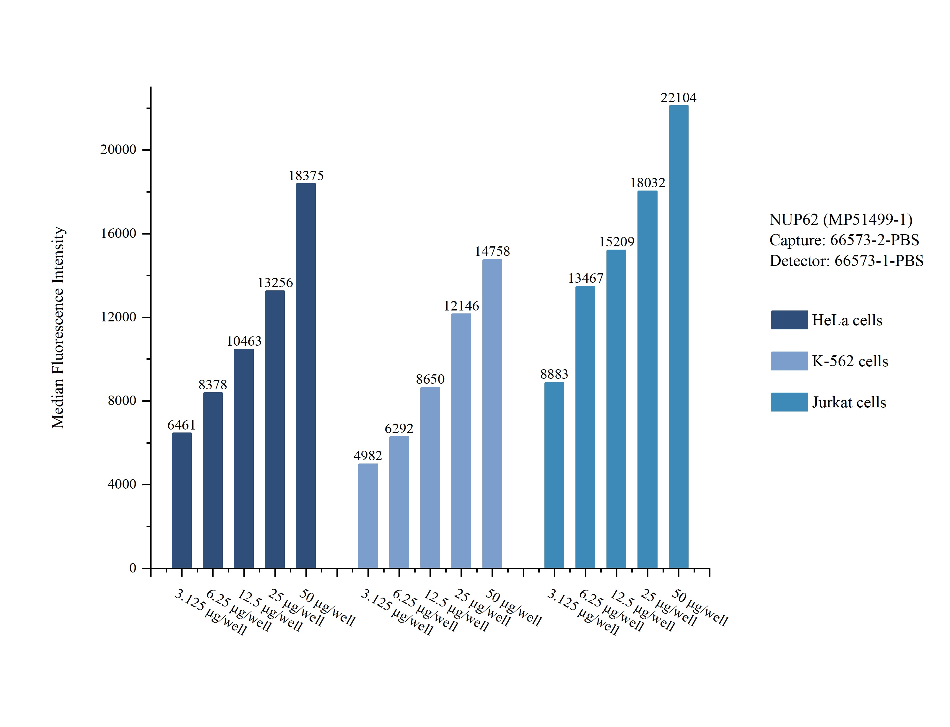 Cytometric bead array sample test of MP51499-1, NUP62 Monoclonal Matched Antibody Pair, PBS Only. Capture antibody: 66573-2-PBS. Detection antibody: 66573-1-PBS. Cytometric bead array sample test of MP51499-1
