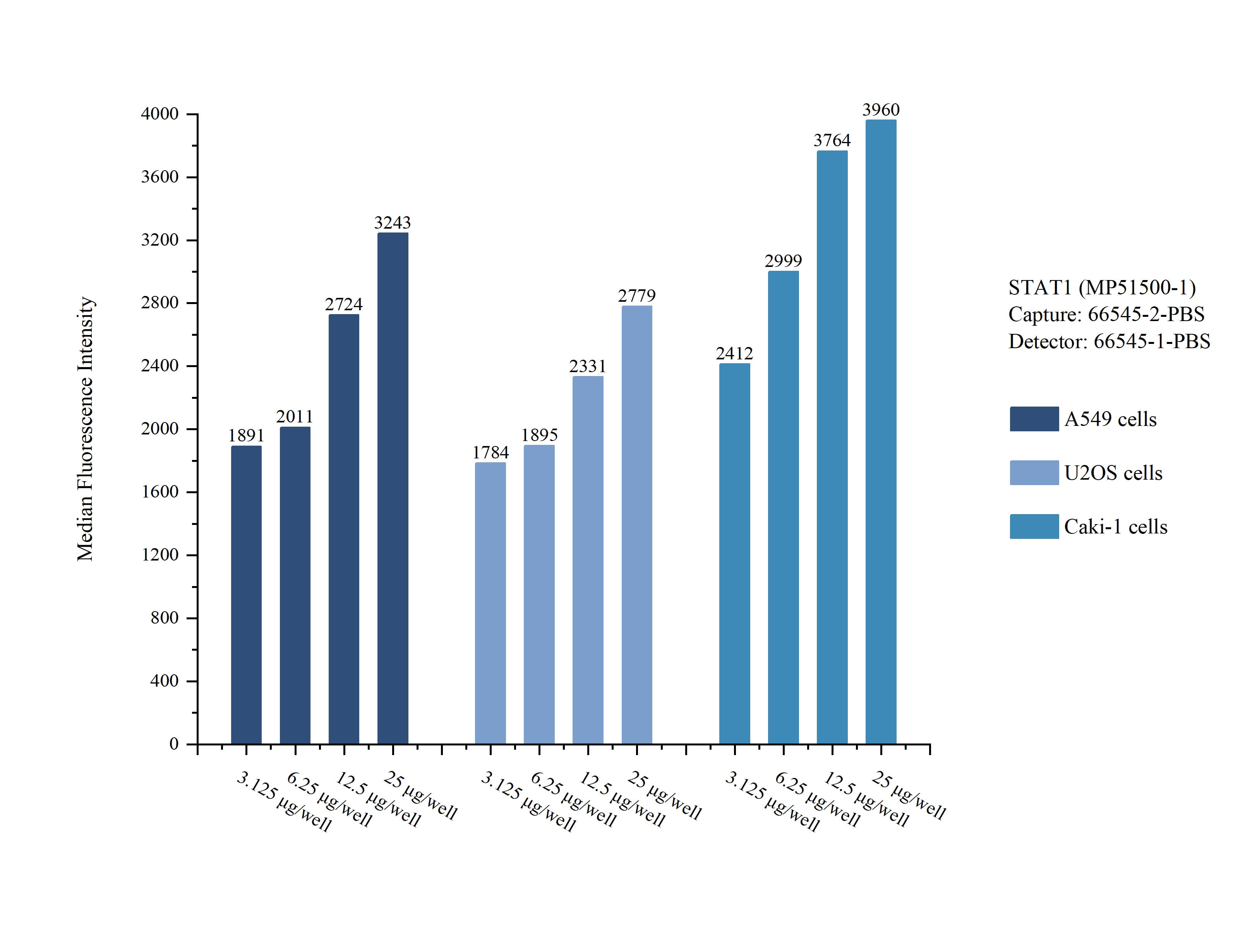 Cytometric bead array sample test of MP51500-1, STAT1 Monoclonal Matched Antibody Pair, PBS Only. Capture antibody: 66545-2-PBS. Detection antibody: 66545-1-PBS. Cytometric bead array sample test of MP51500-1